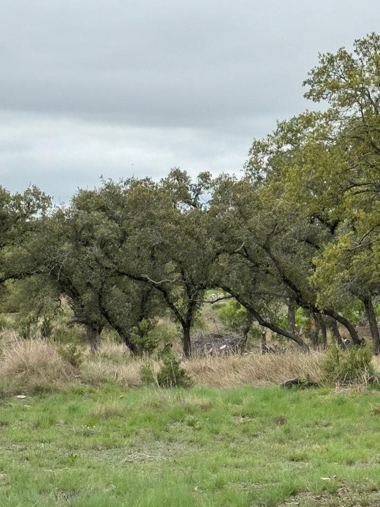 10 acres in Burnet County - photo 11