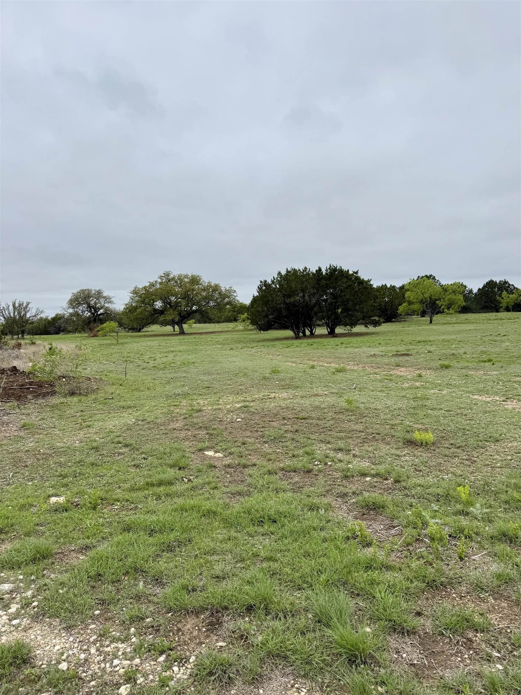 10 acres in Burnet County - photo 13