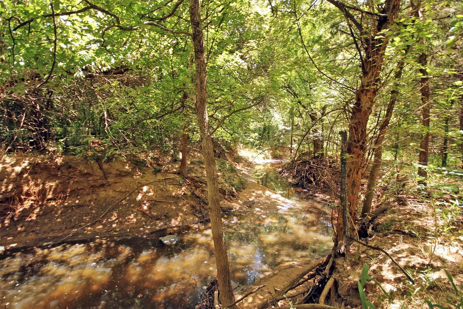 5.12 acres in Cooke County - photo 7