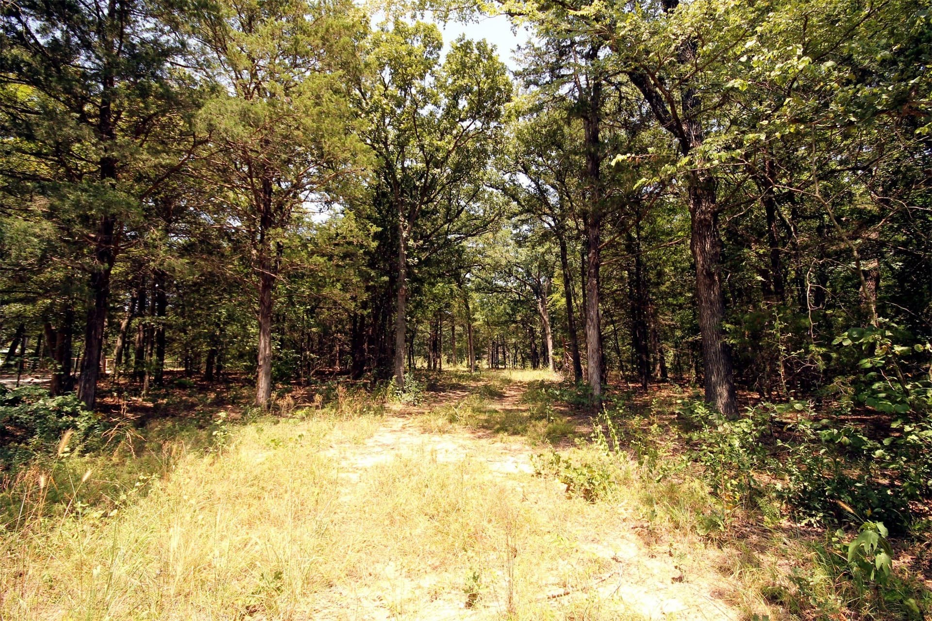 5.12 acres in Cooke County gallery image 3