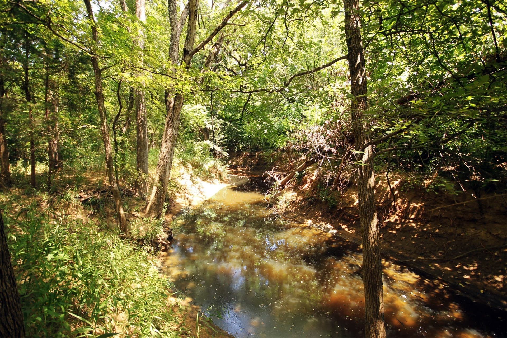 5.12 acres in Cooke County - photo 6