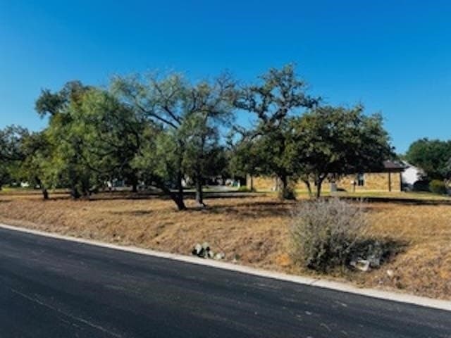 0.22 acres in Llano County - photo 8