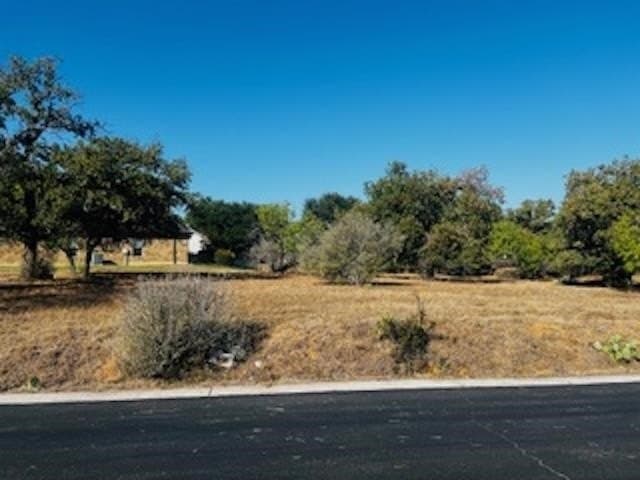 0.22 acres in Llano County - photo 7