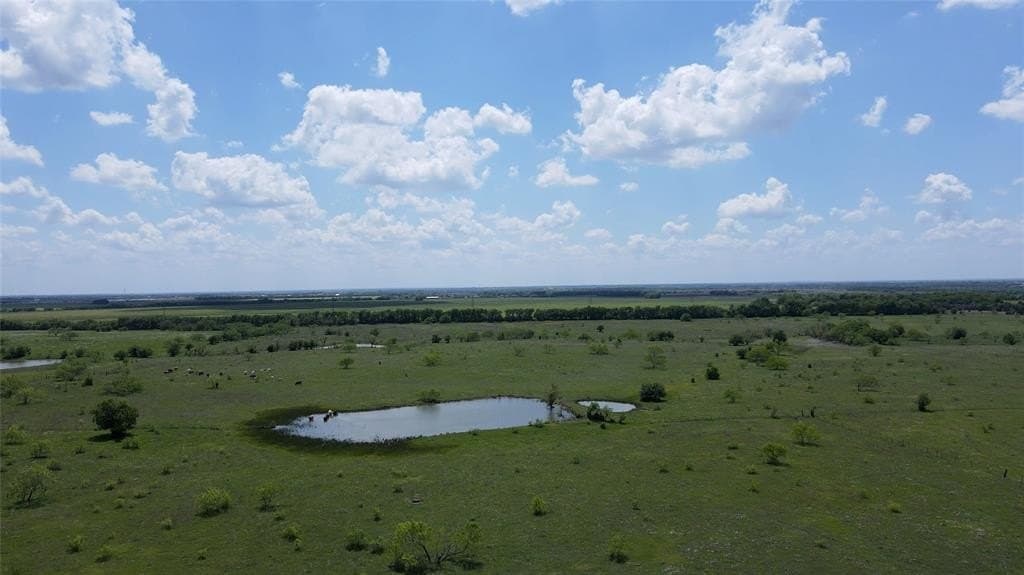 133.83 acres in Kaufman County gallery image 4