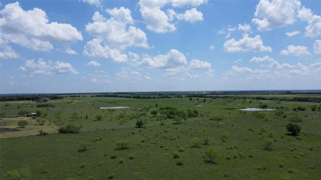 133.83 acres in Kaufman County gallery image 3
