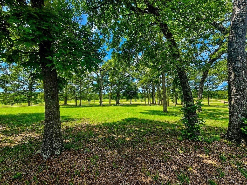 7 acres in Colorado County - photo 17