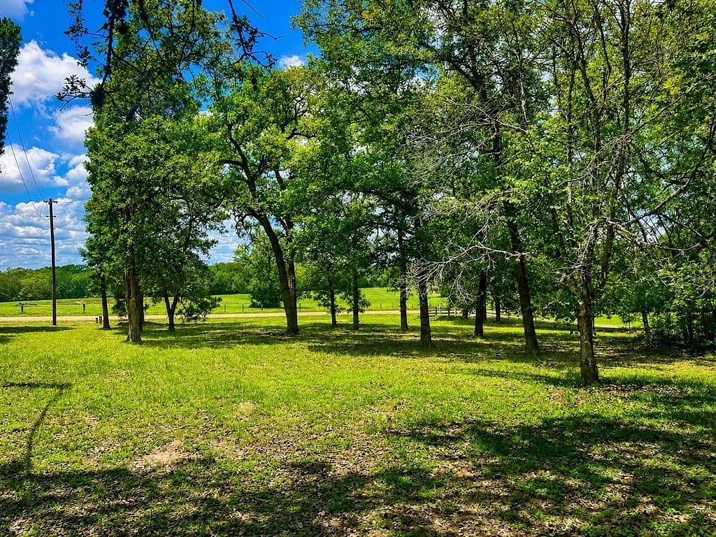 7 acres in Colorado County - photo 19