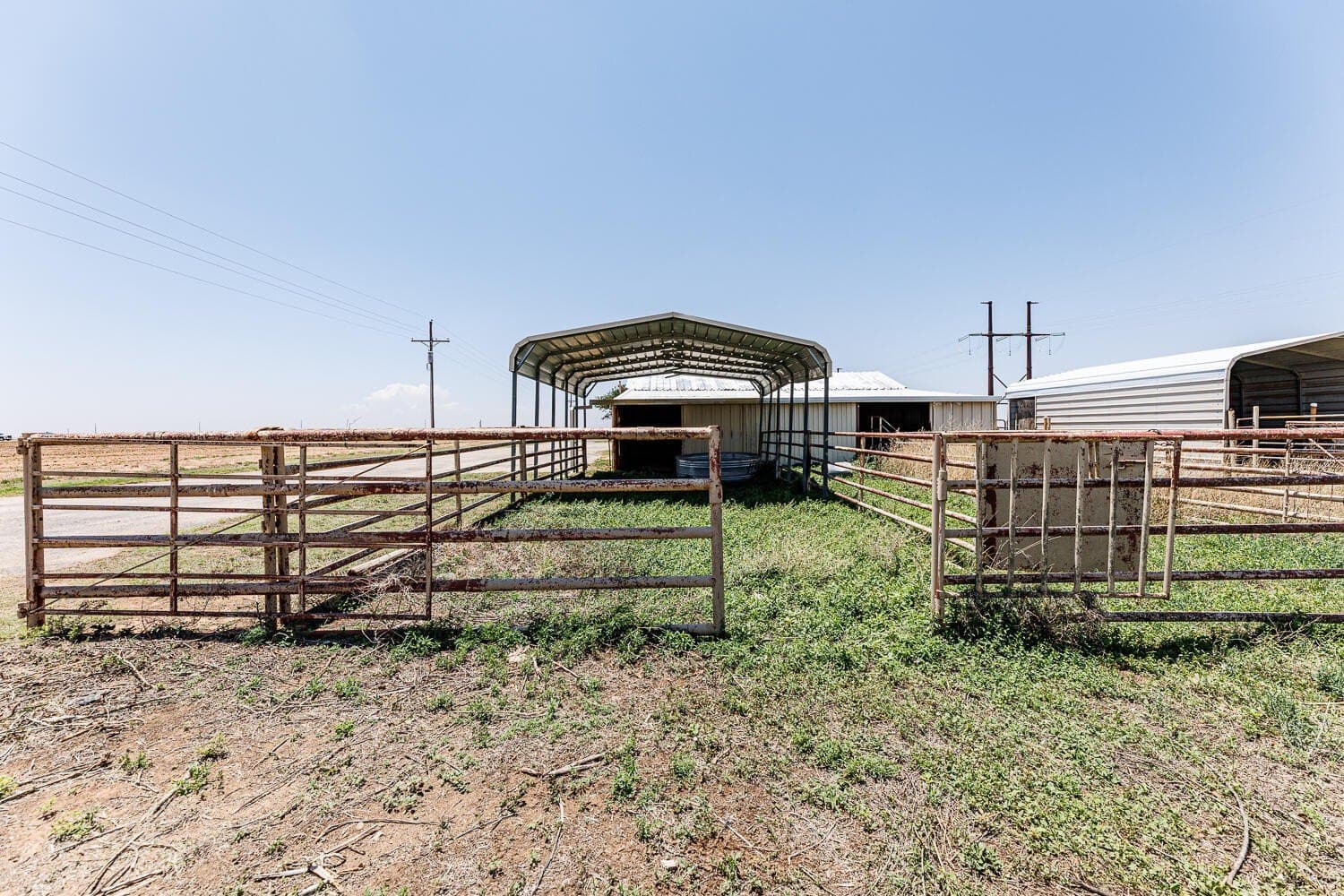 10 acres in Hale County gallery image 4