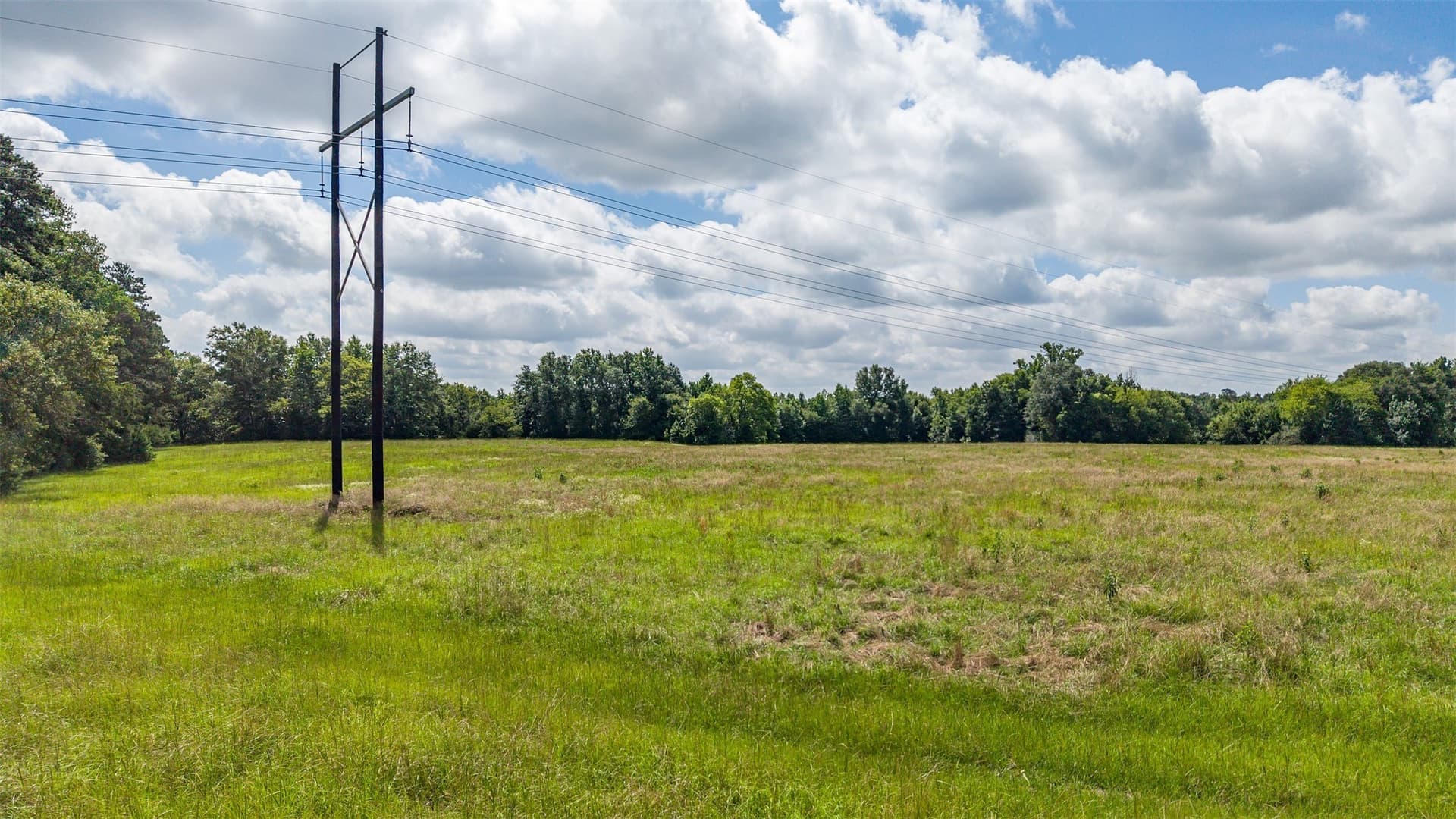 110.08 acres in Smith County - photo 5