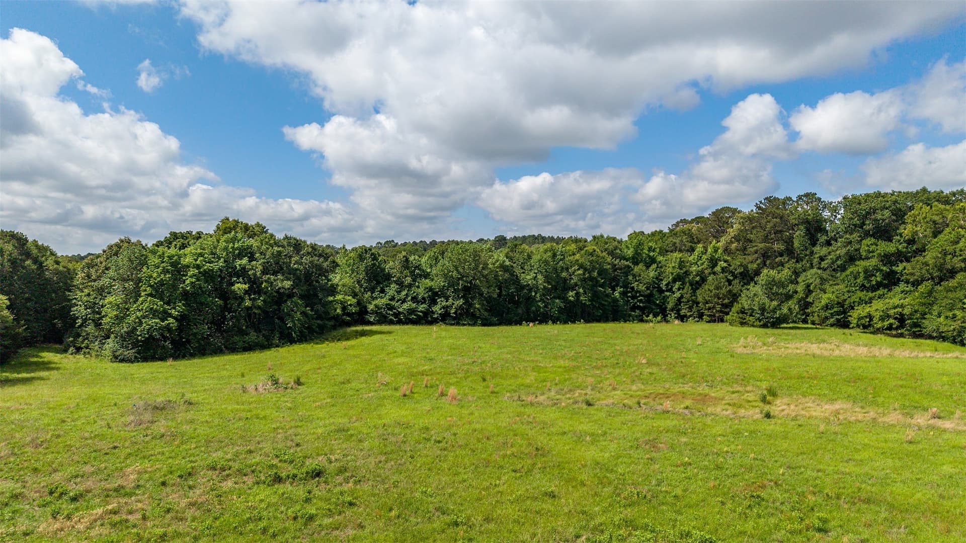 110.08 acres in Smith County - photo 7