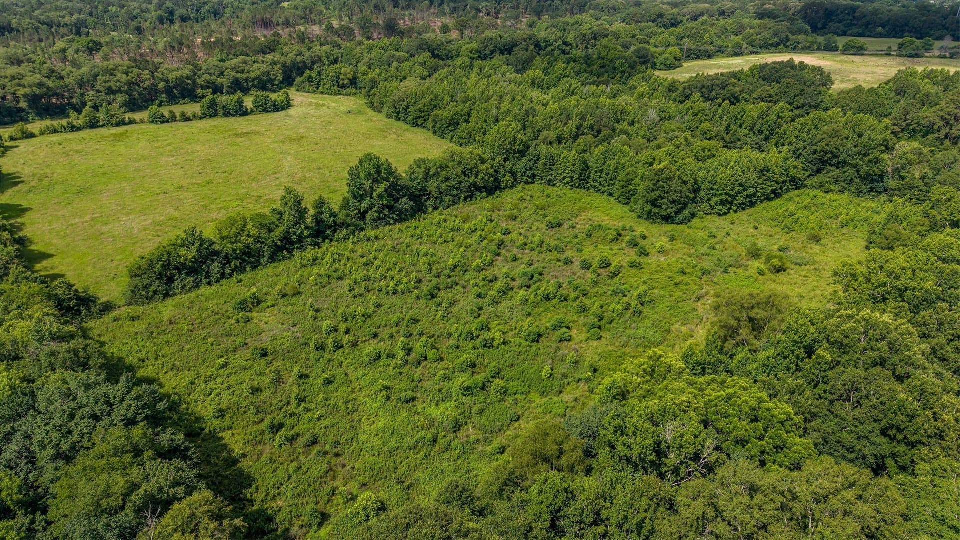 110.08 acres in Smith County - photo 13