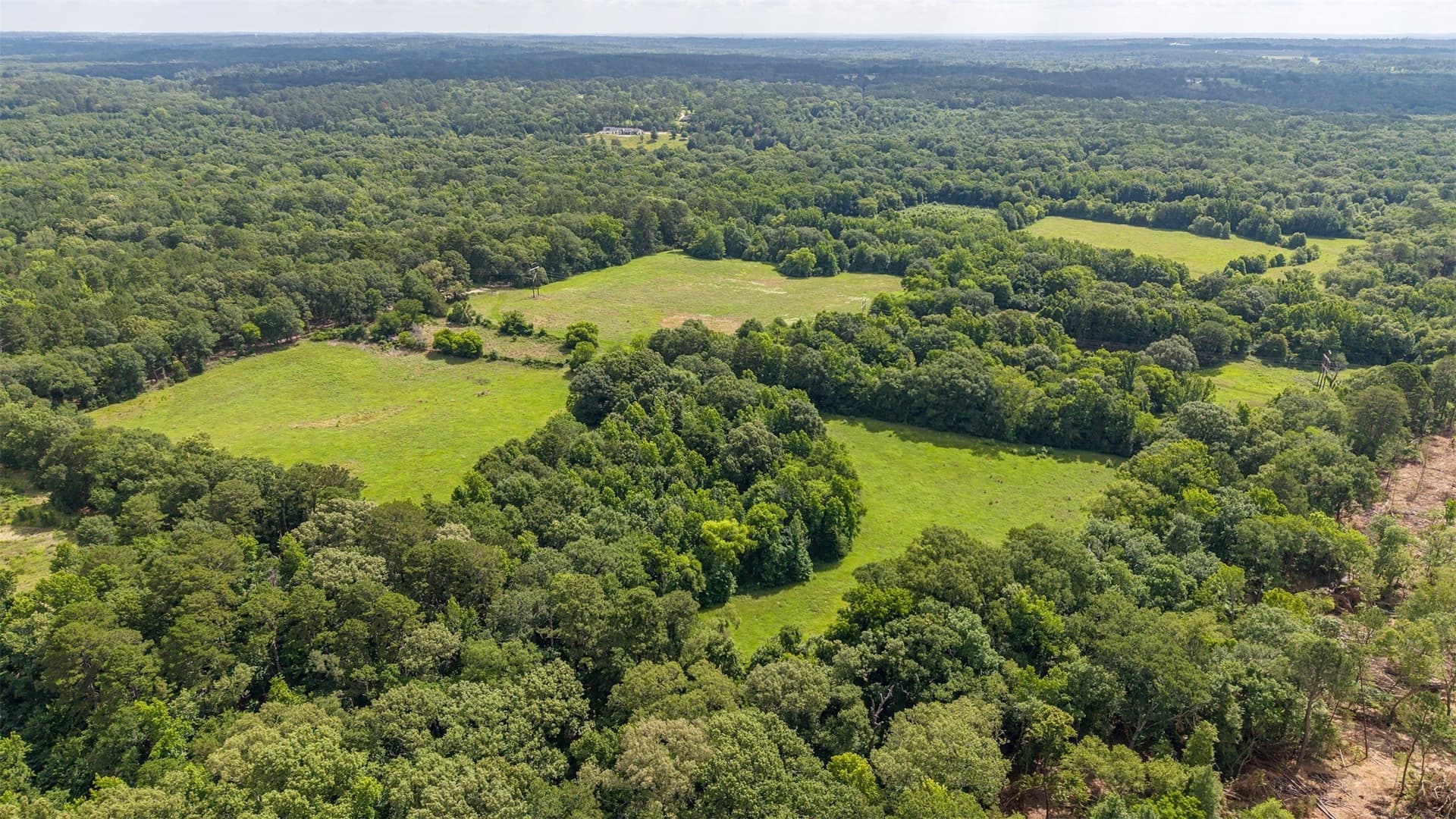 110.08 acres in Smith County - photo 8