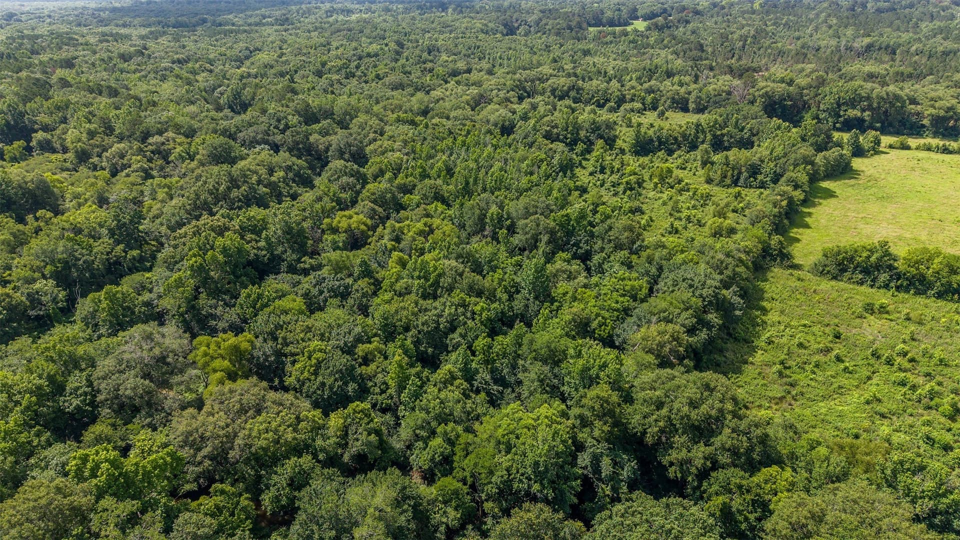 110.08 acres in Smith County - photo 12