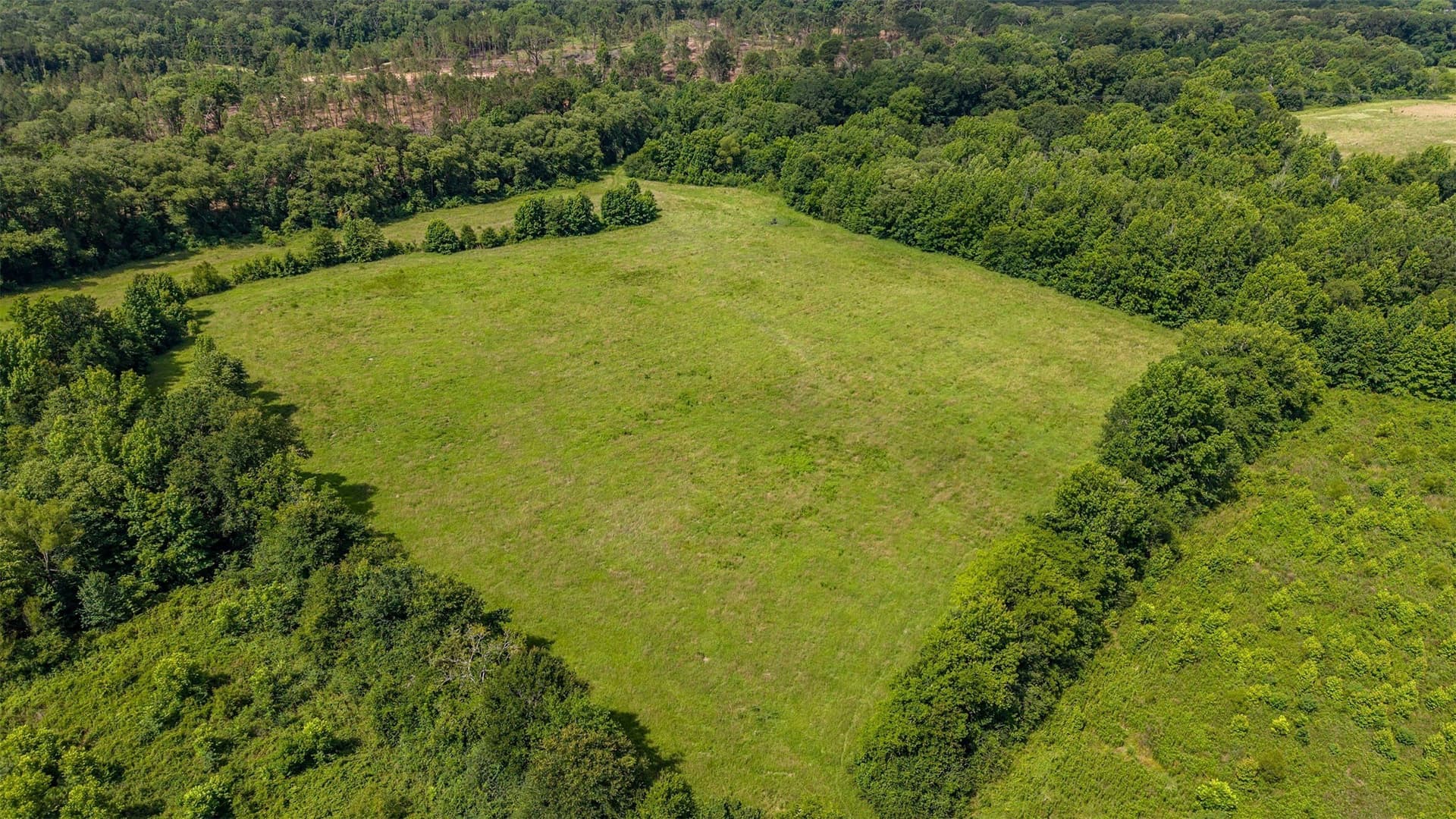 110.08 acres in Smith County - photo 14