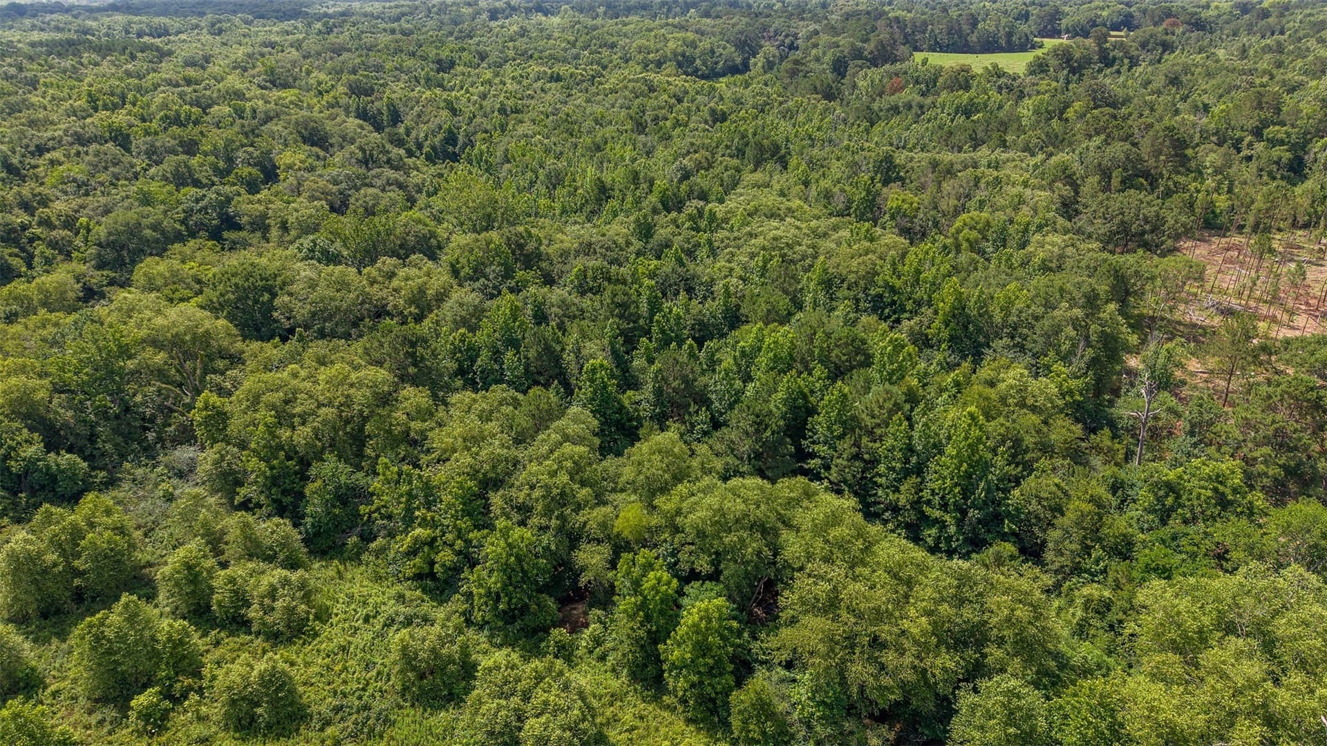 110.08 acres in Smith County - photo 16