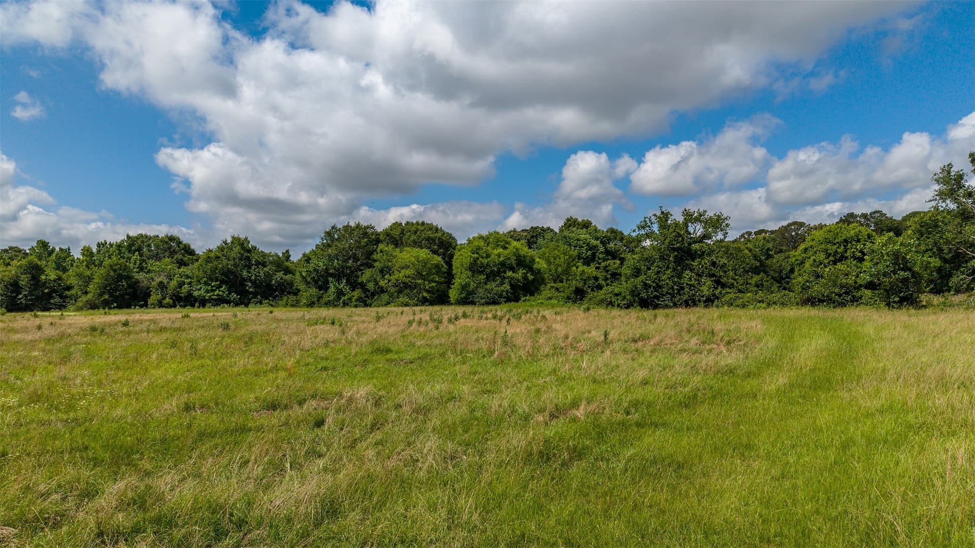 110.08 acres in Smith County - photo 4