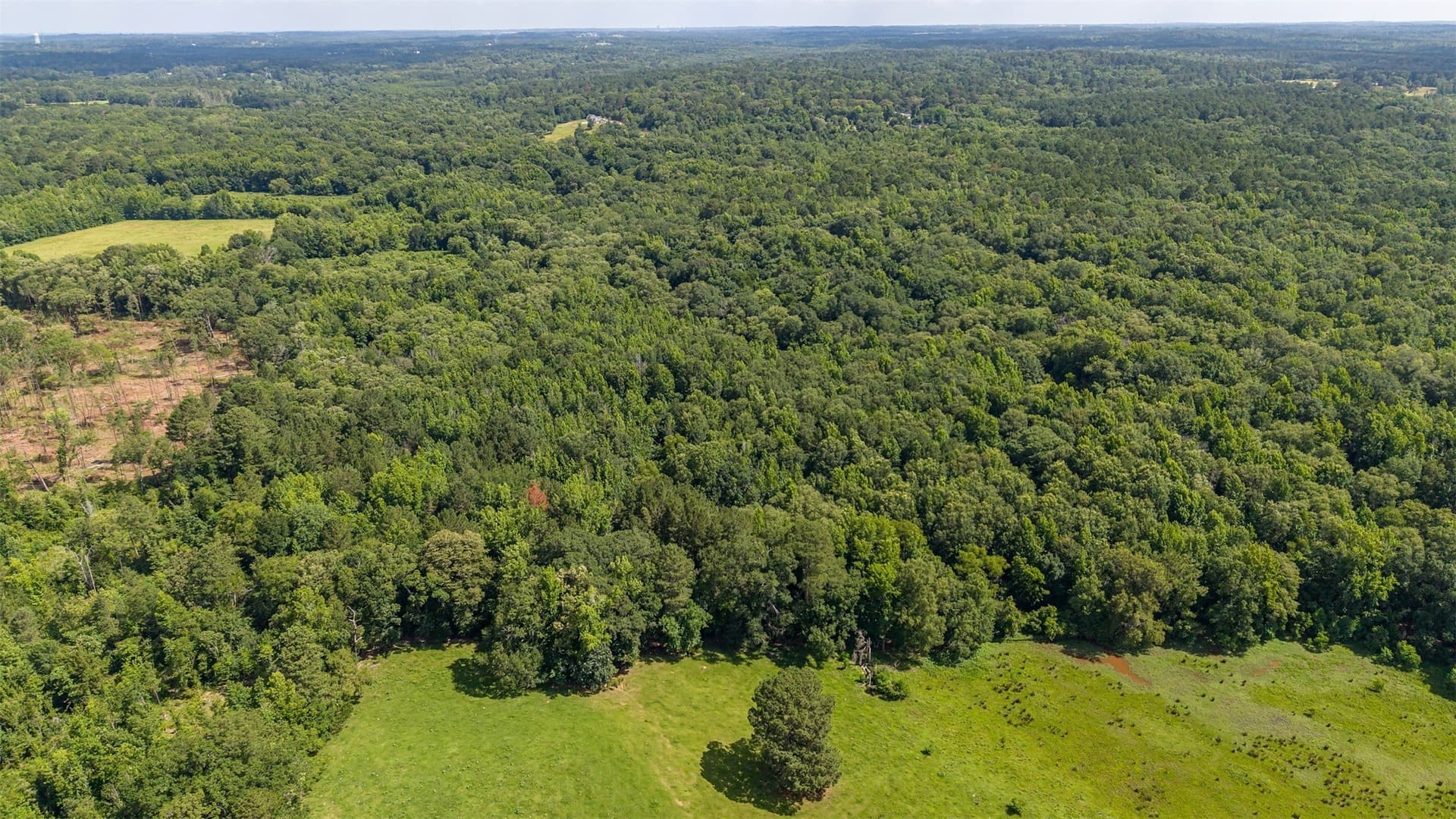 110.08 acres in Smith County - photo 17