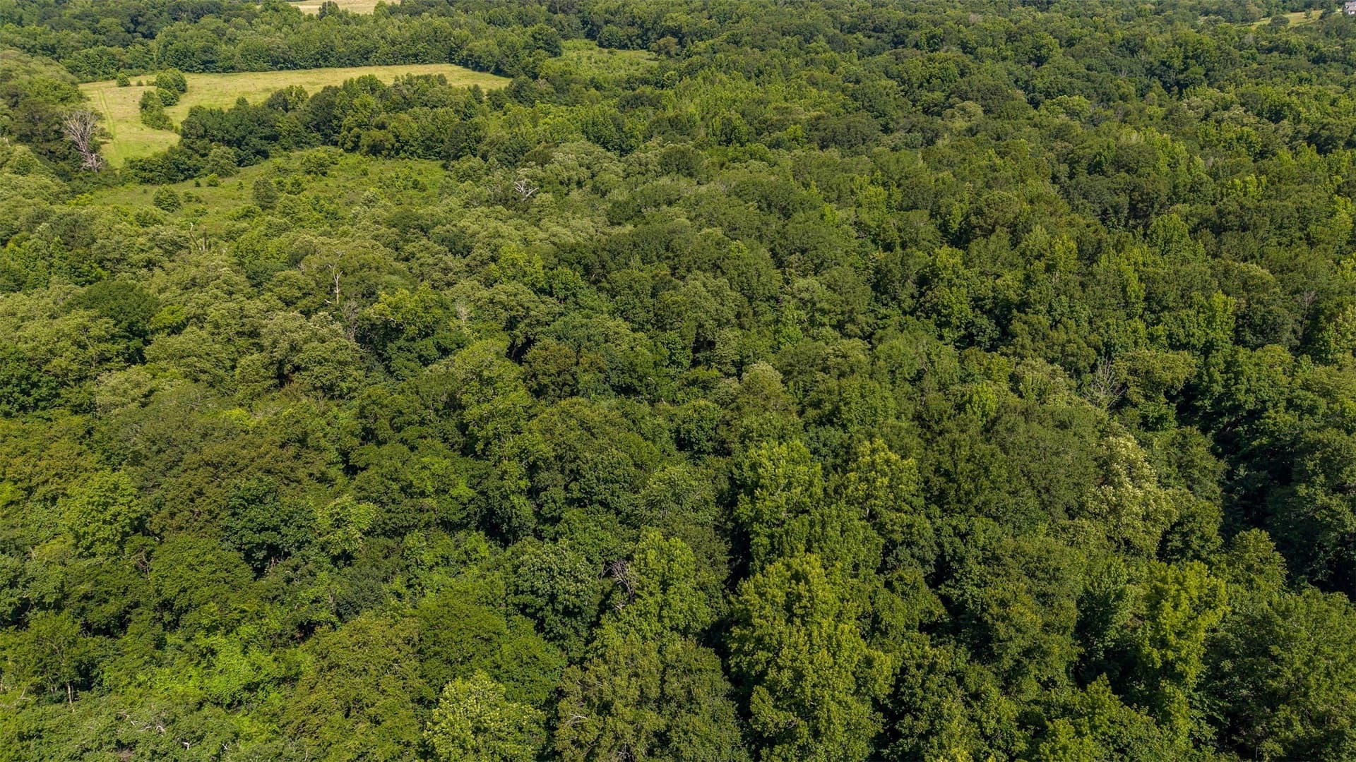 110.08 acres in Smith County - photo 18