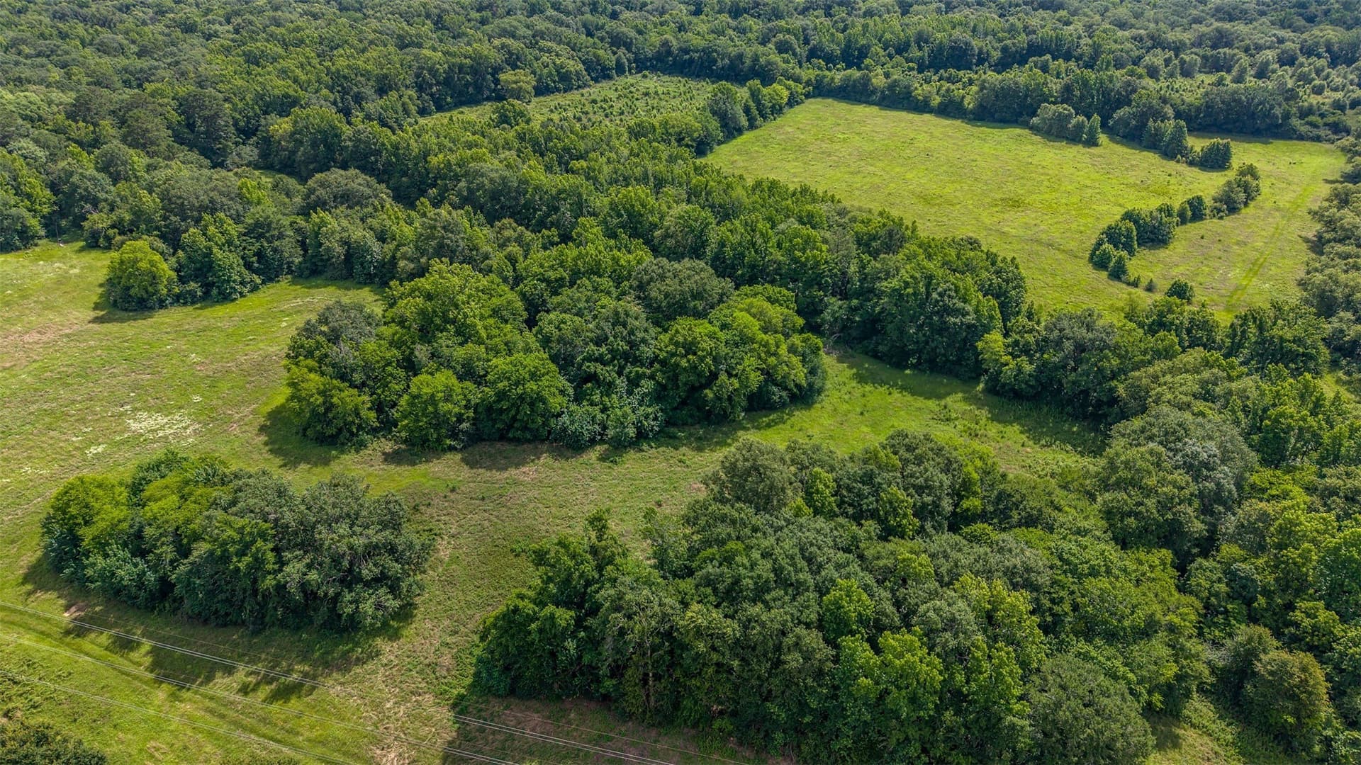 110.08 acres in Smith County - photo 10