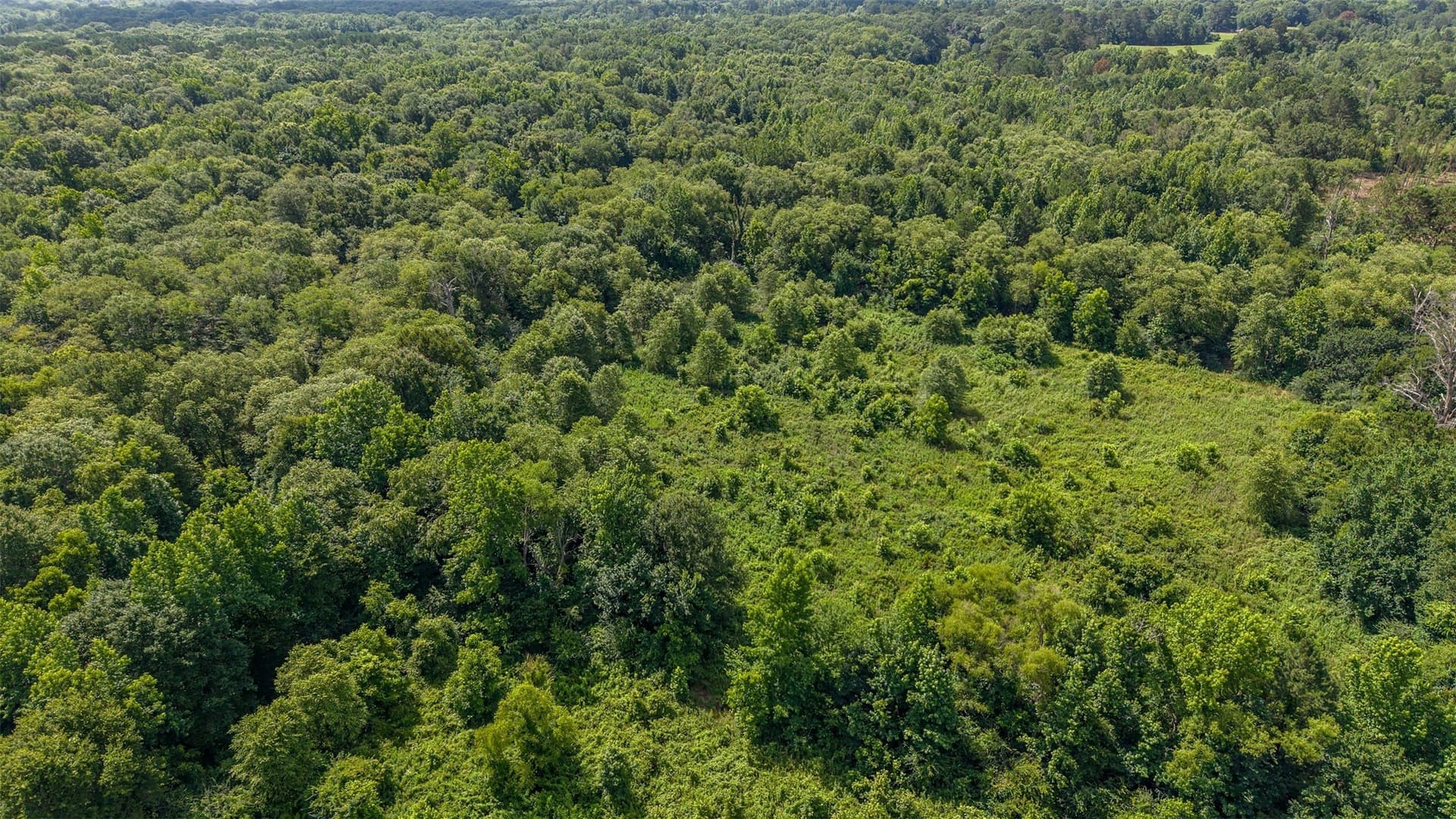 110.08 acres in Smith County - photo 15