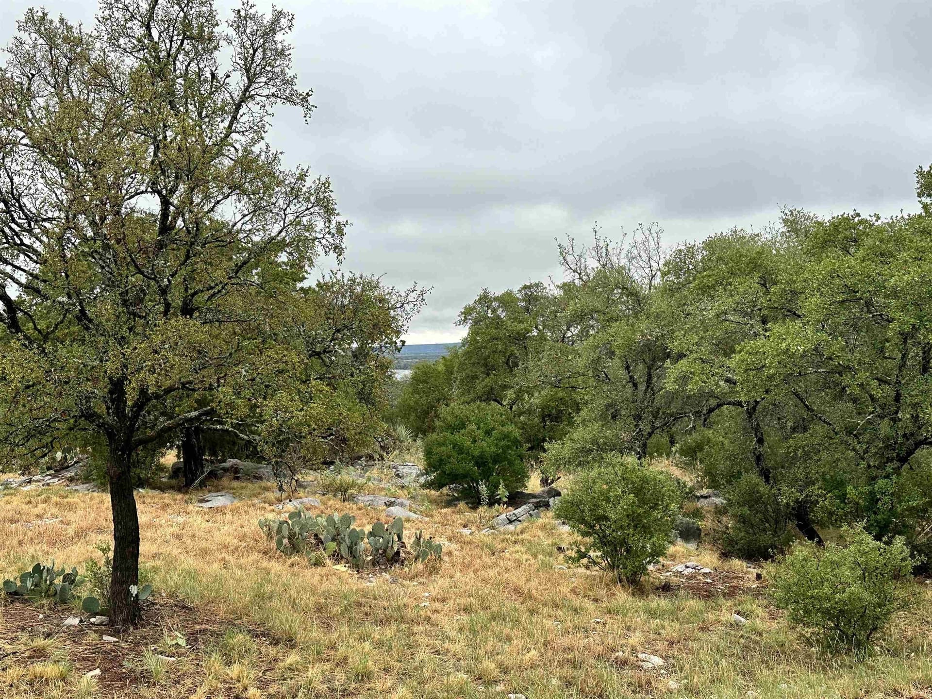 0.25 acres in Llano County - photo 11