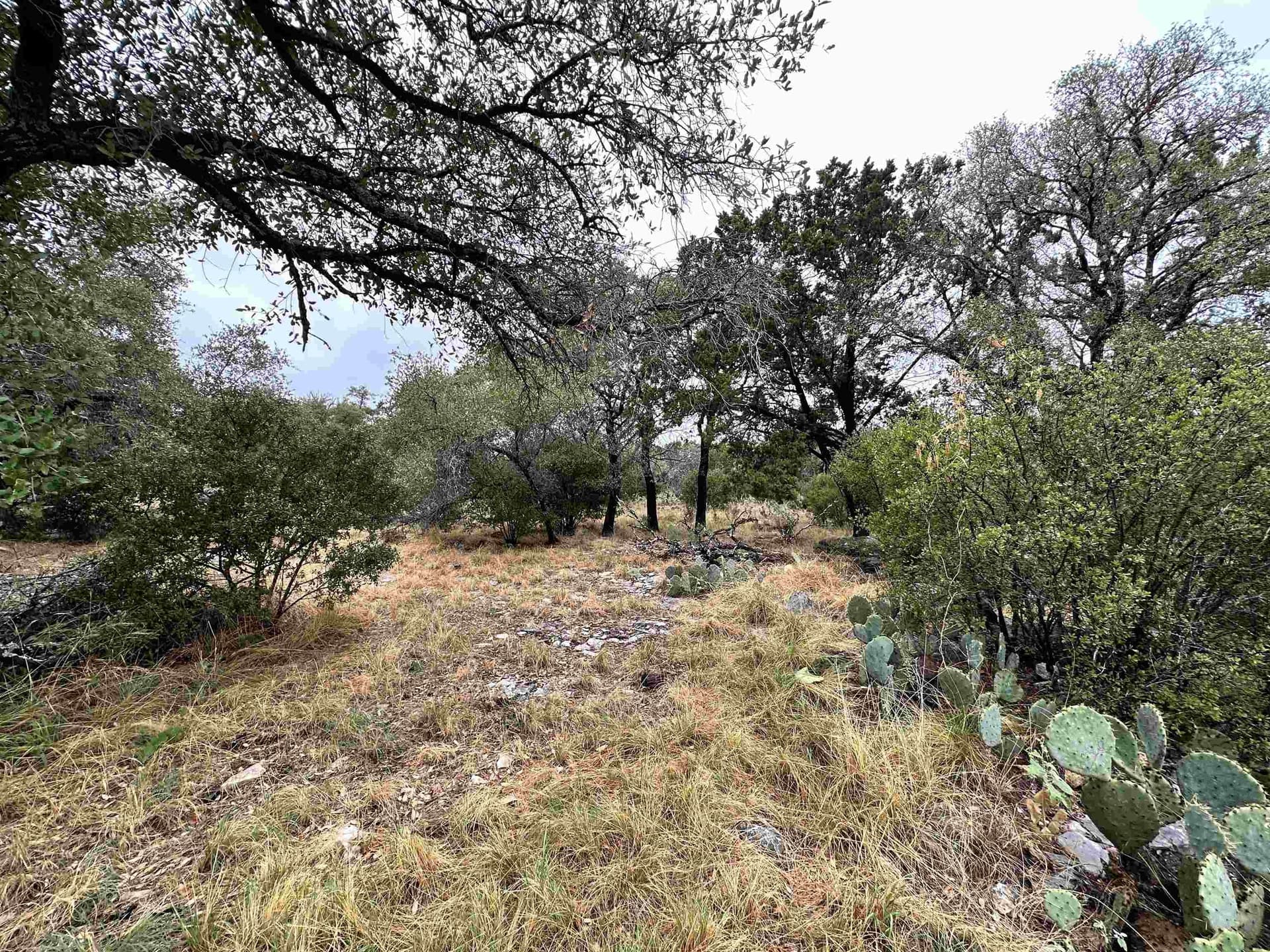 0.25 acres in Llano County - photo 9