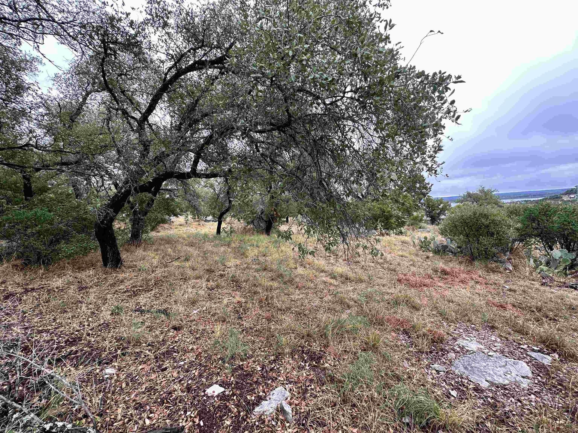 0.25 acres in Llano County gallery image 4