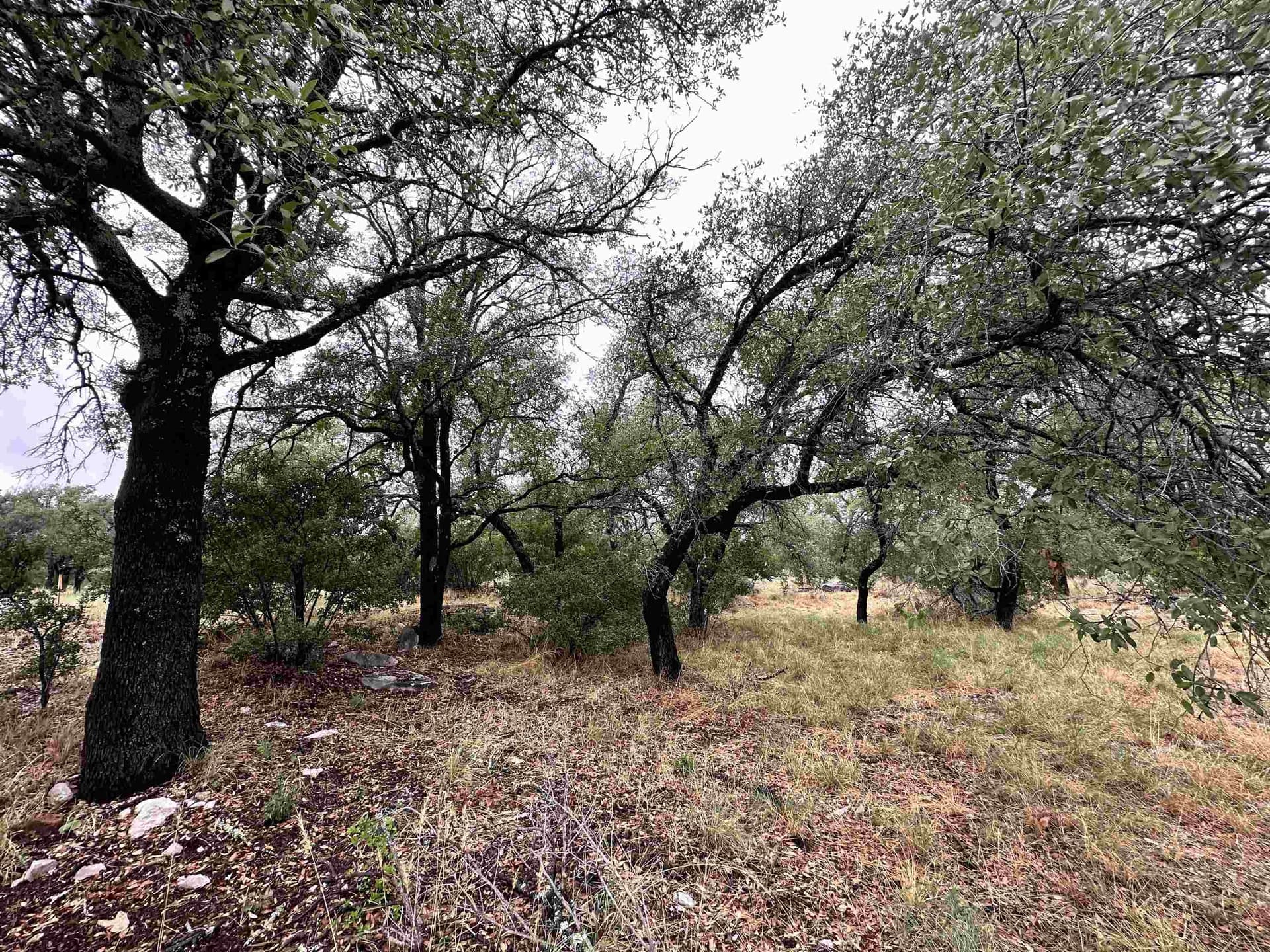 0.25 acres in Llano County gallery image 3