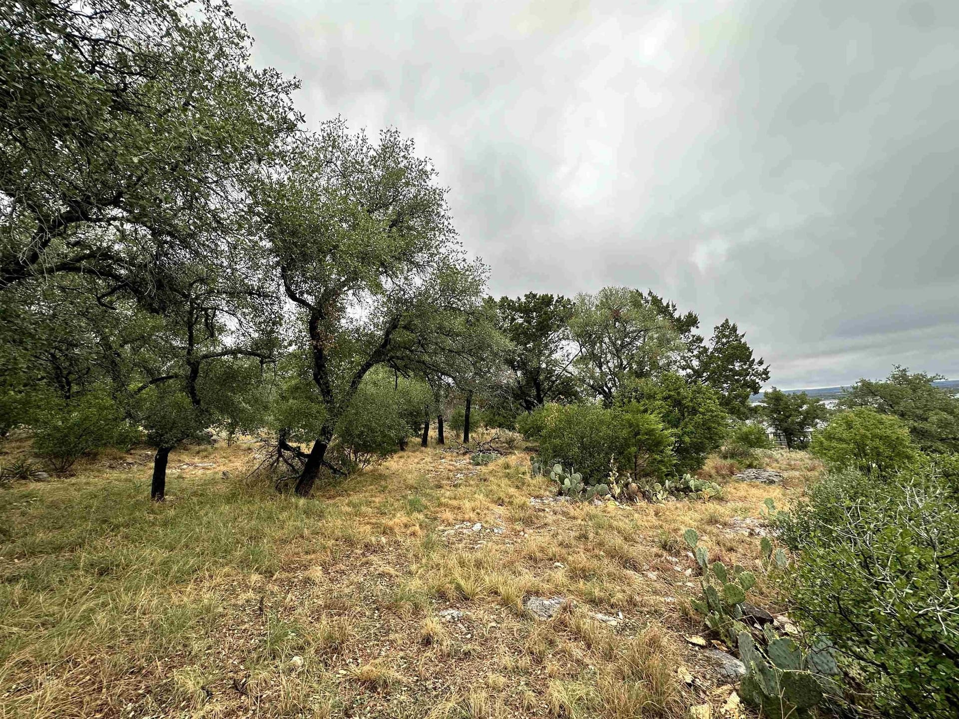 0.25 acres in Llano County - photo 6