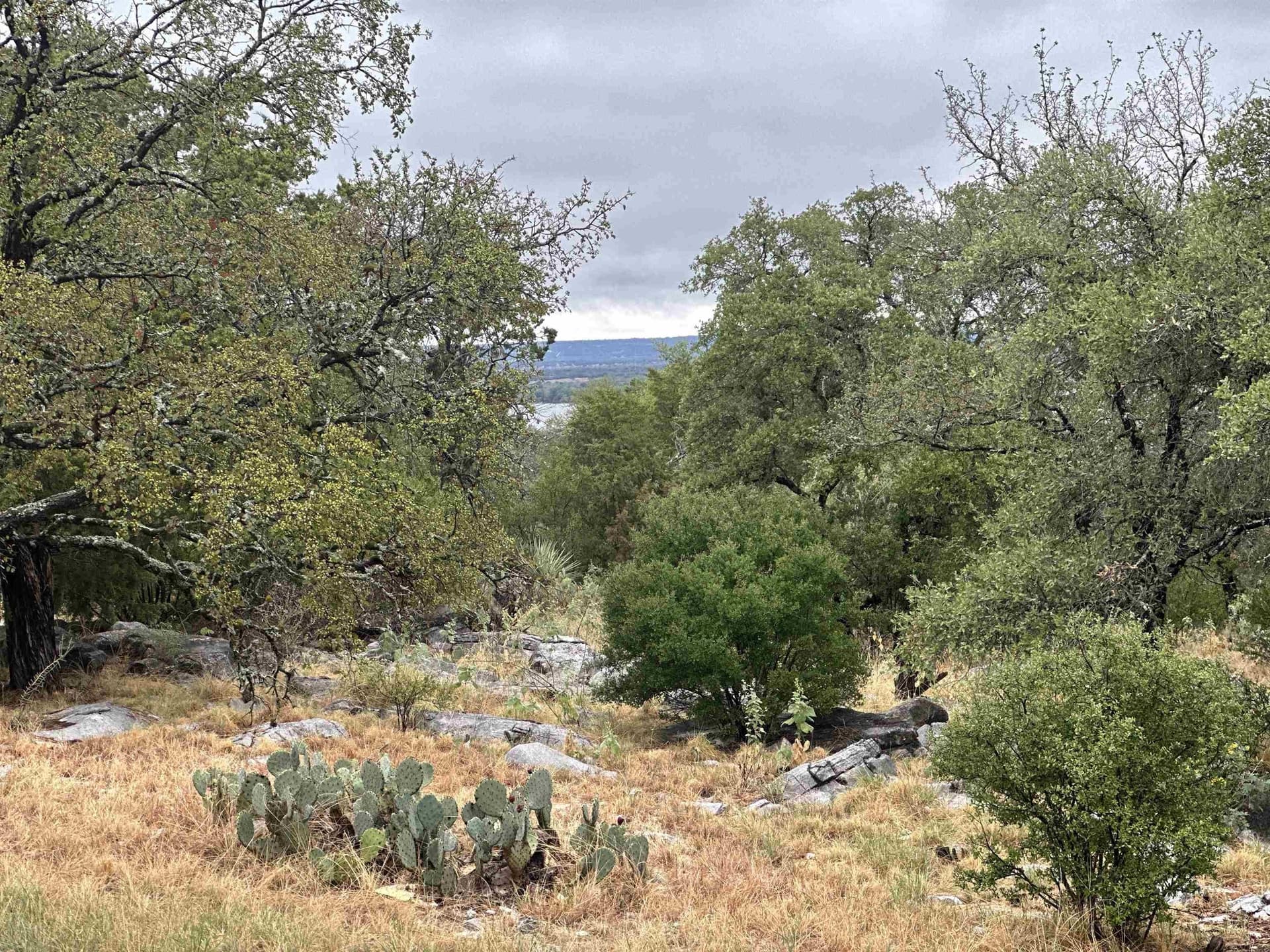 0.25 acres in Llano County - photo 12