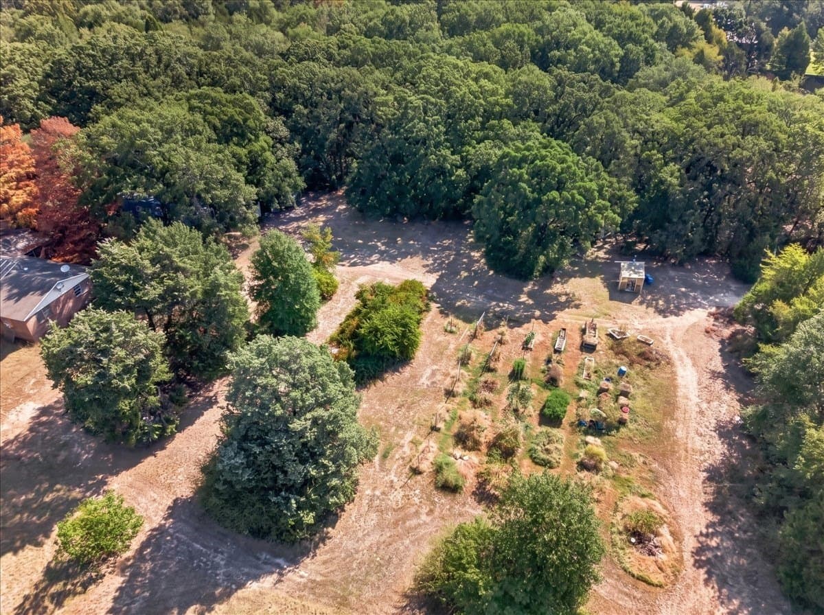 3.4 acres in Henderson County - photo 9