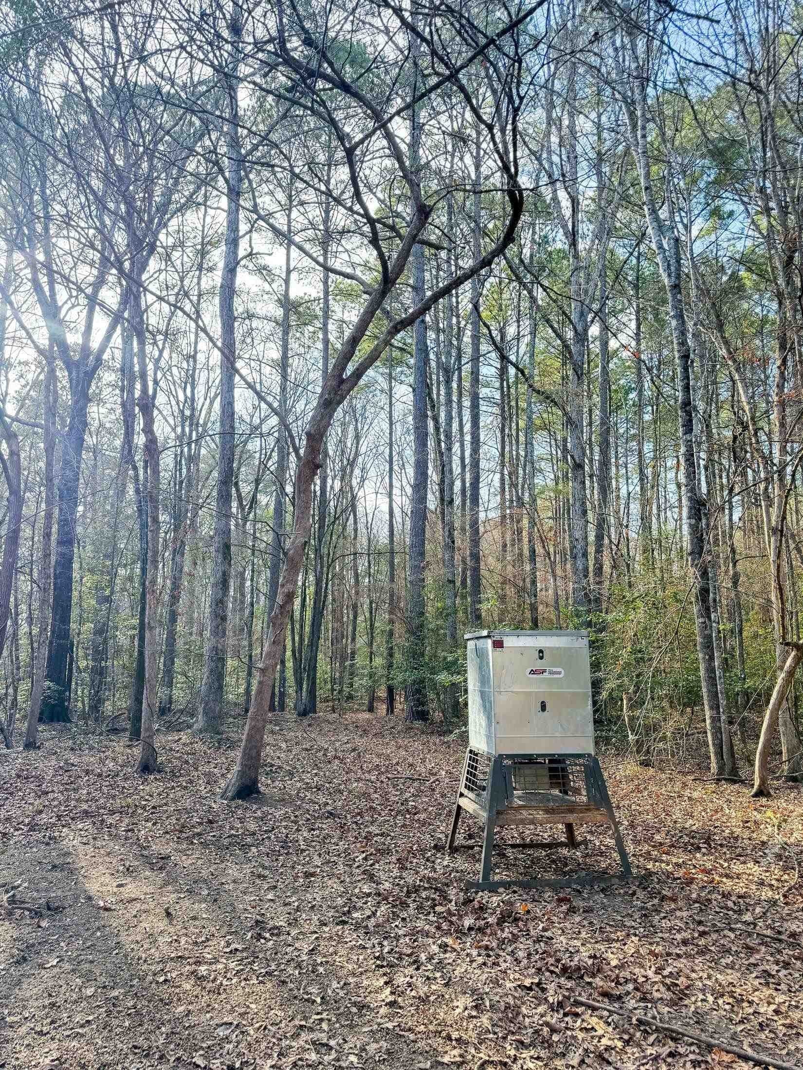436.08 acres in Cass County - photo 35