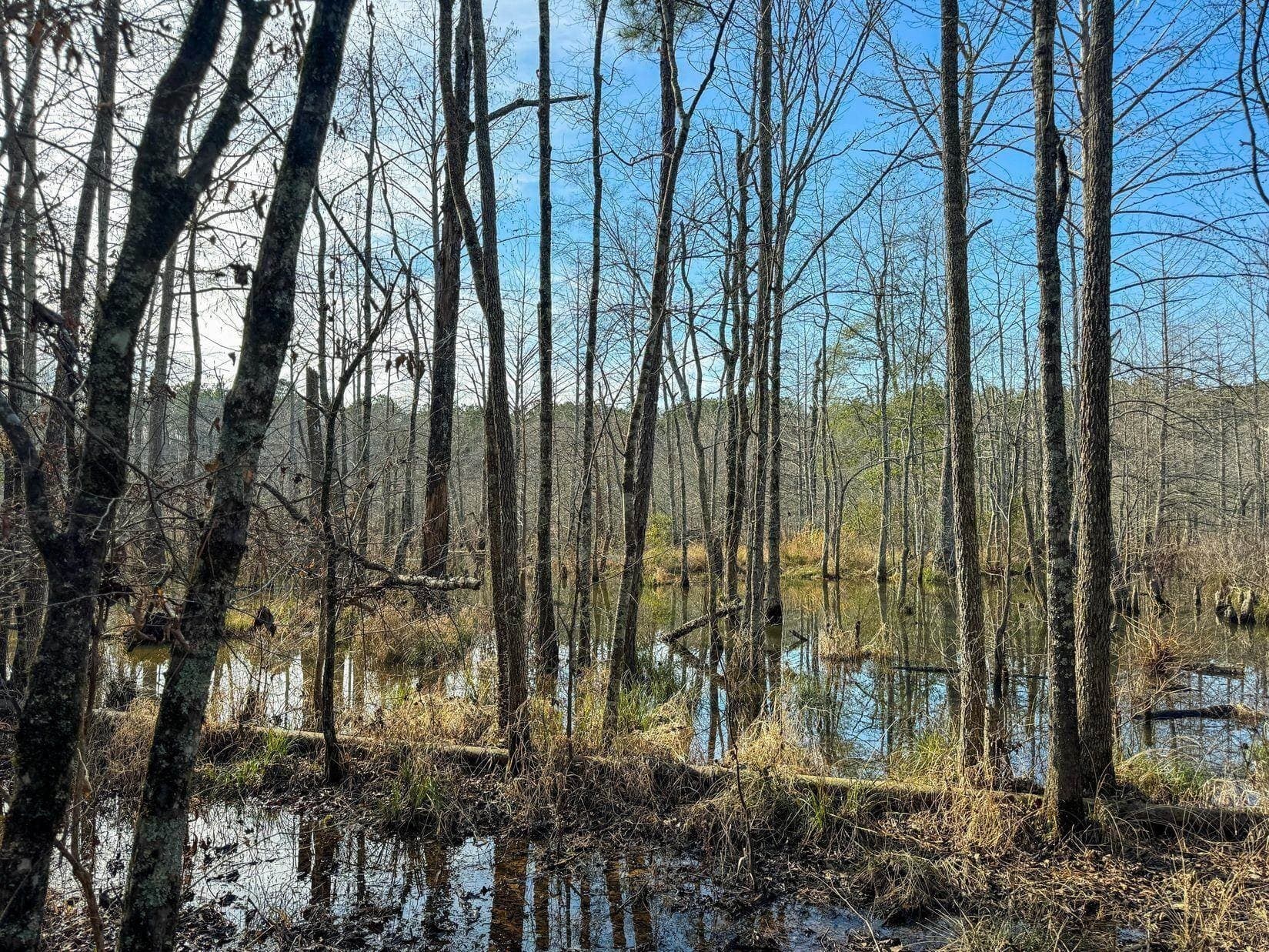 436.08 acres in Cass County - photo 37