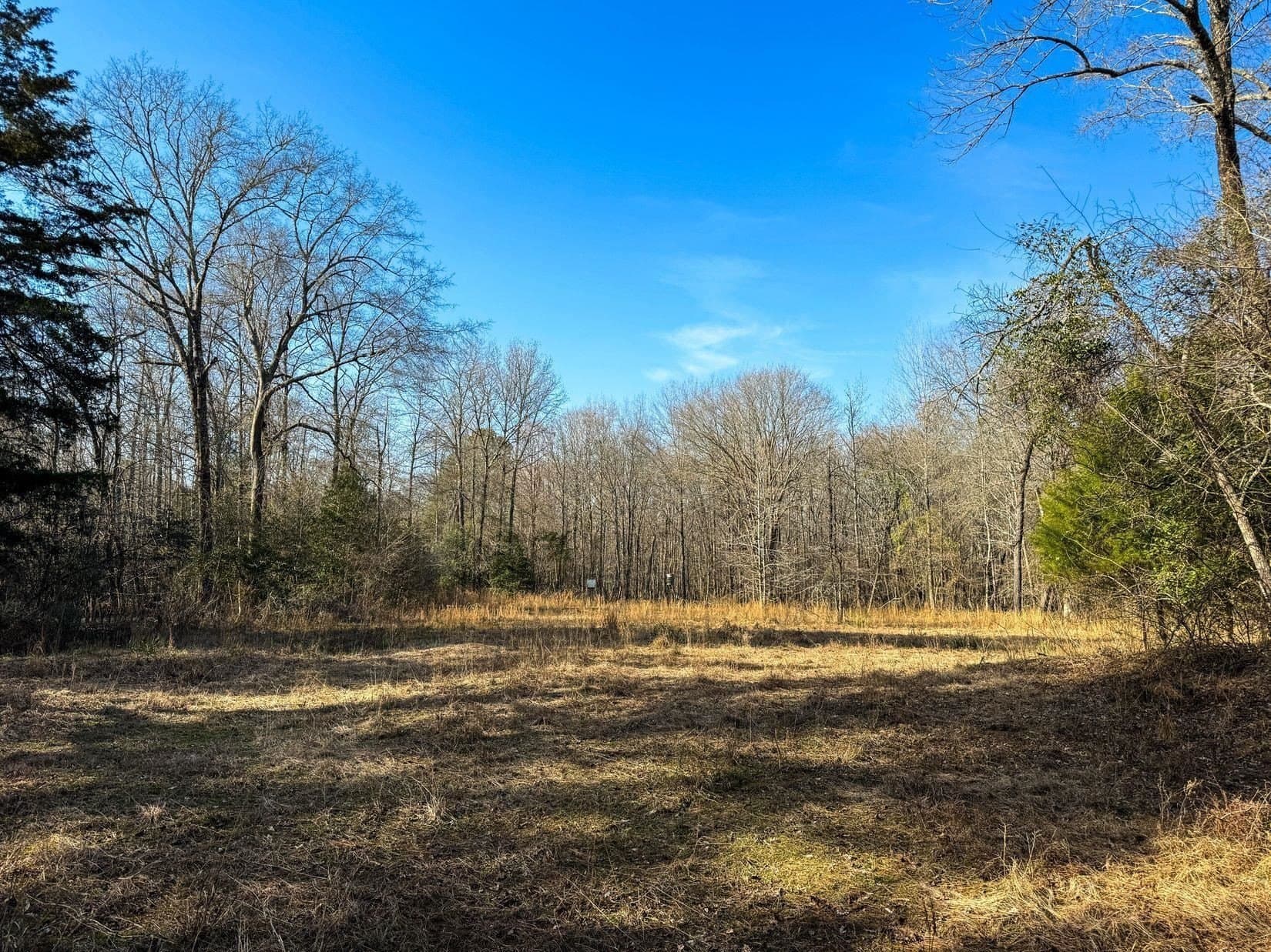 436.08 acres in Cass County - photo 40