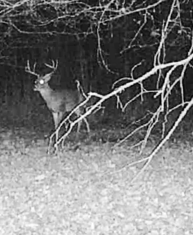 436.08 acres in Cass County - photo 39