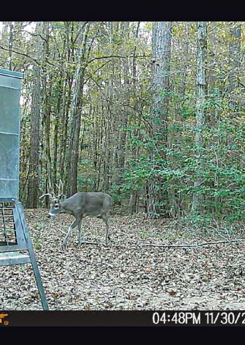 436.08 acres in Cass County - photo 24