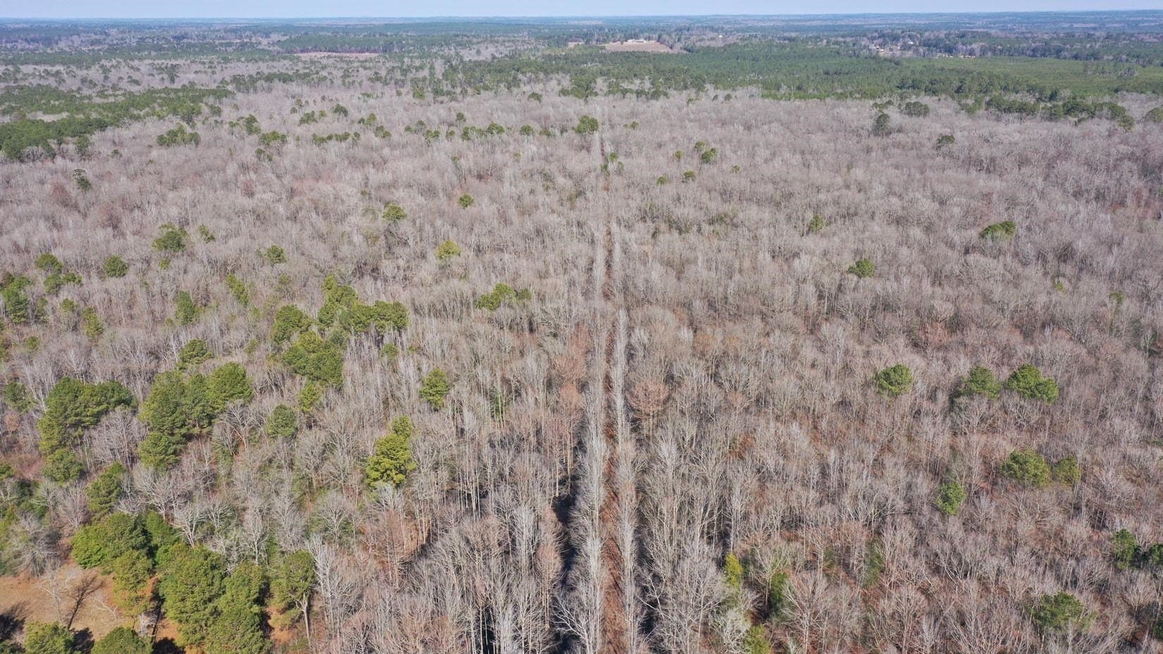436.08 acres in Cass County - photo 47