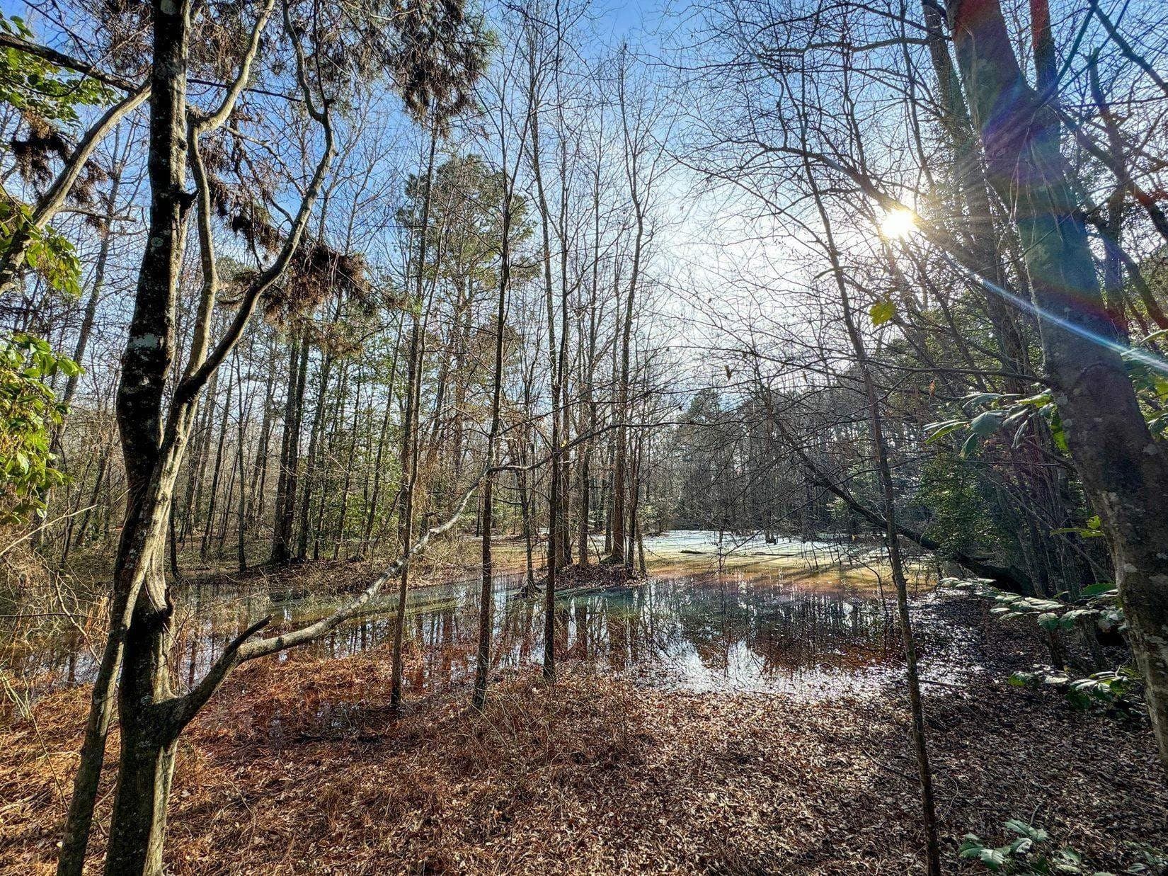 436.08 acres in Cass County - photo 25