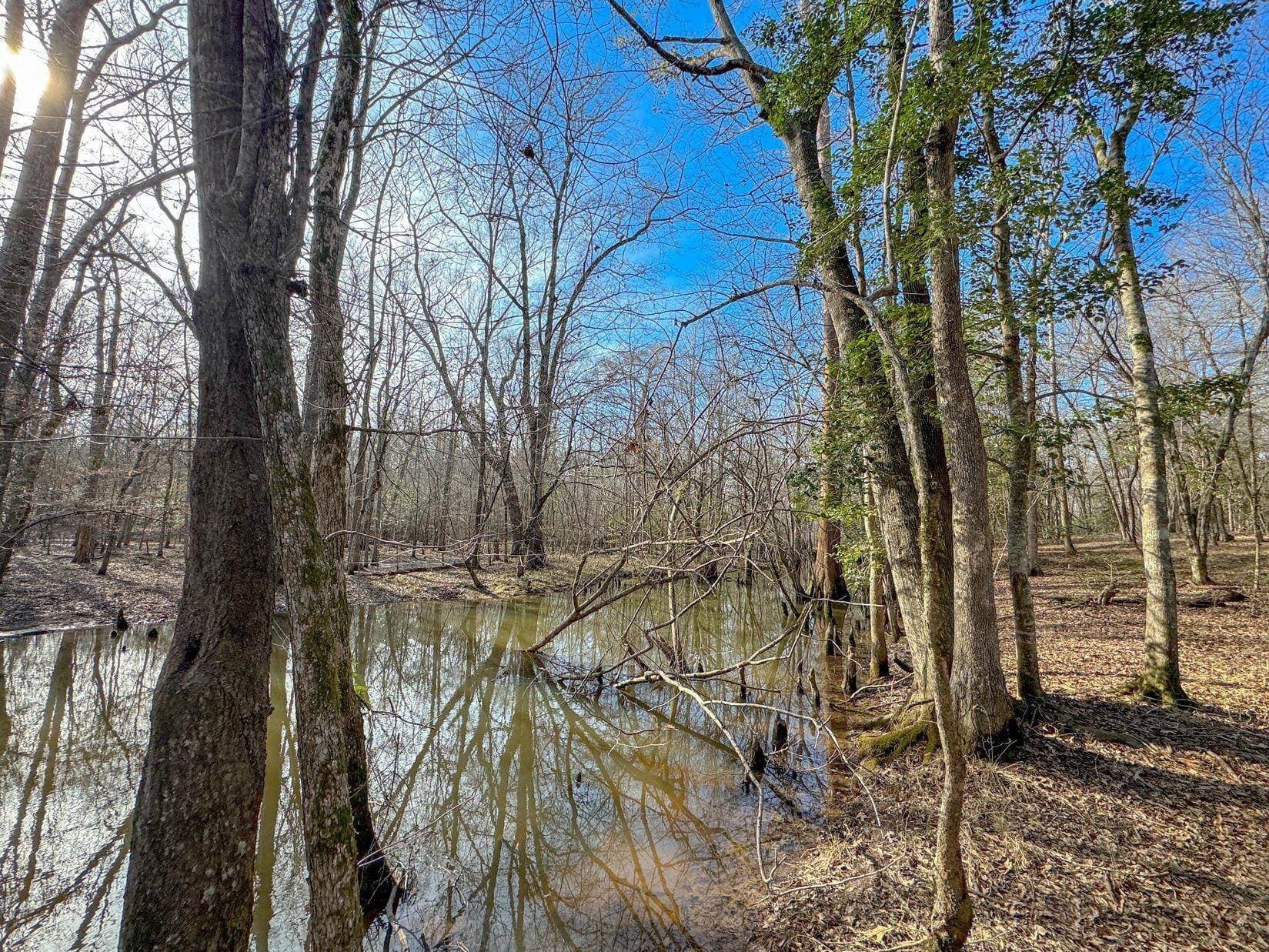 436.08 acres in Cass County - photo 15