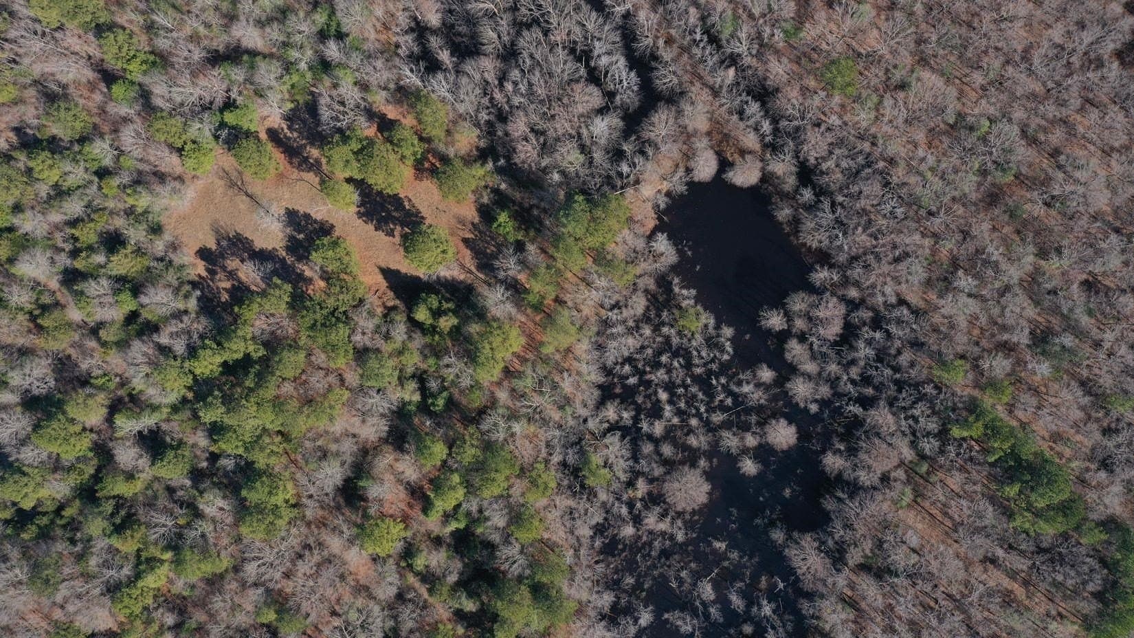 436.08 acres in Cass County - photo 50