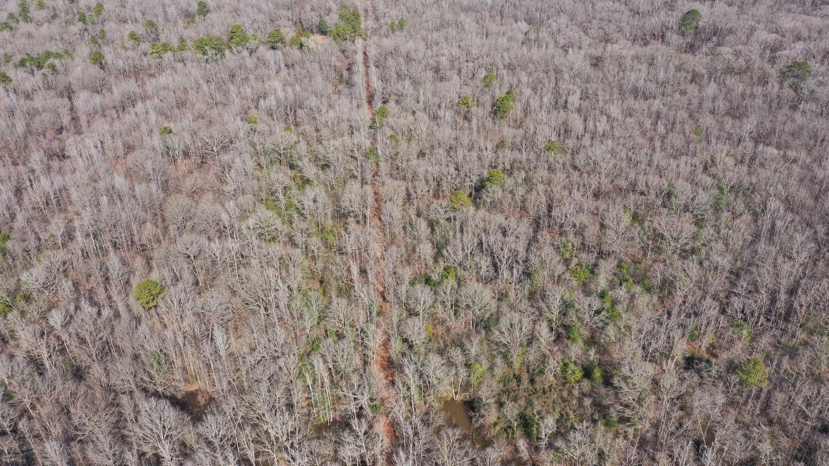 436.08 acres in Cass County - photo 46