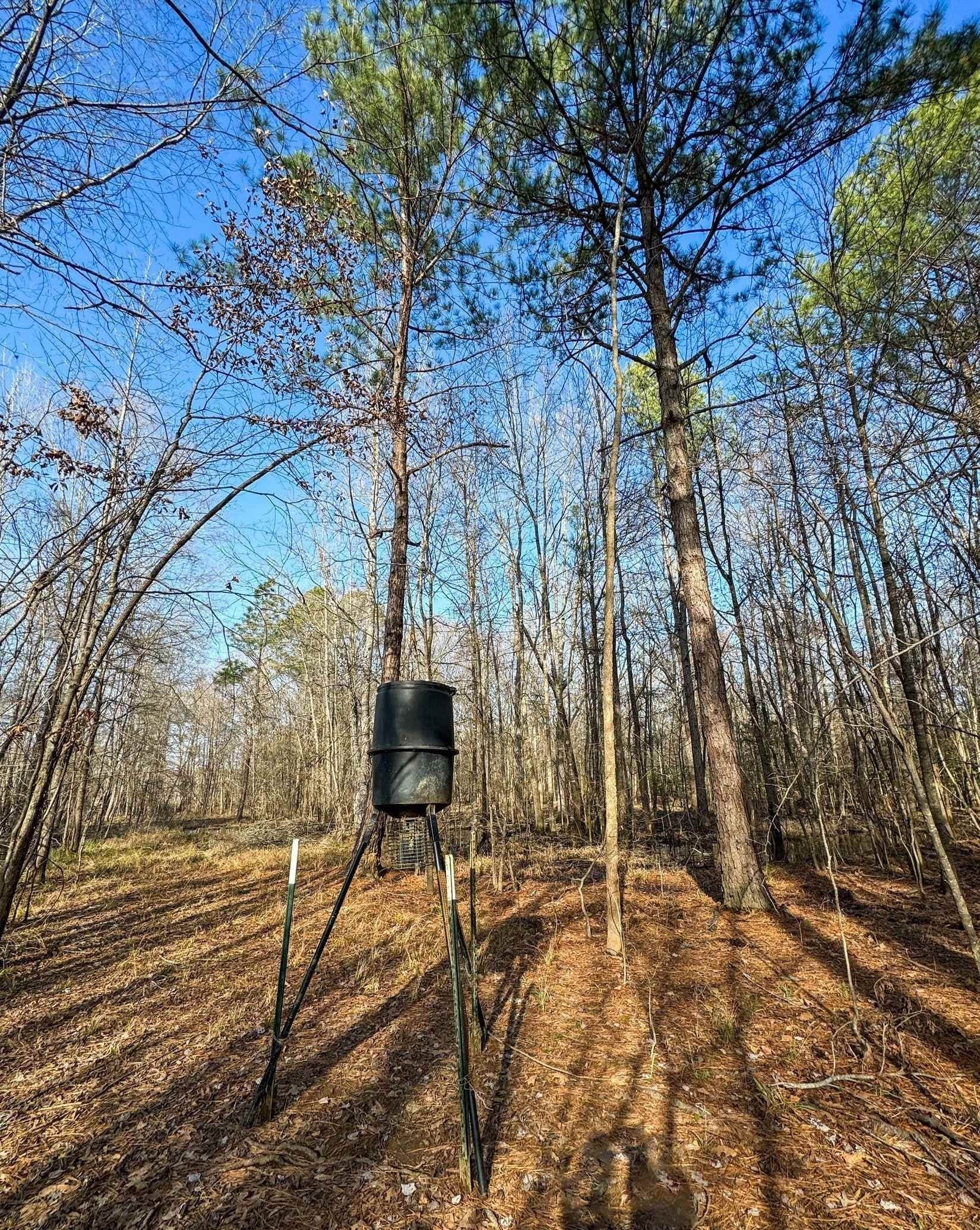 436.08 acres in Cass County - photo 20