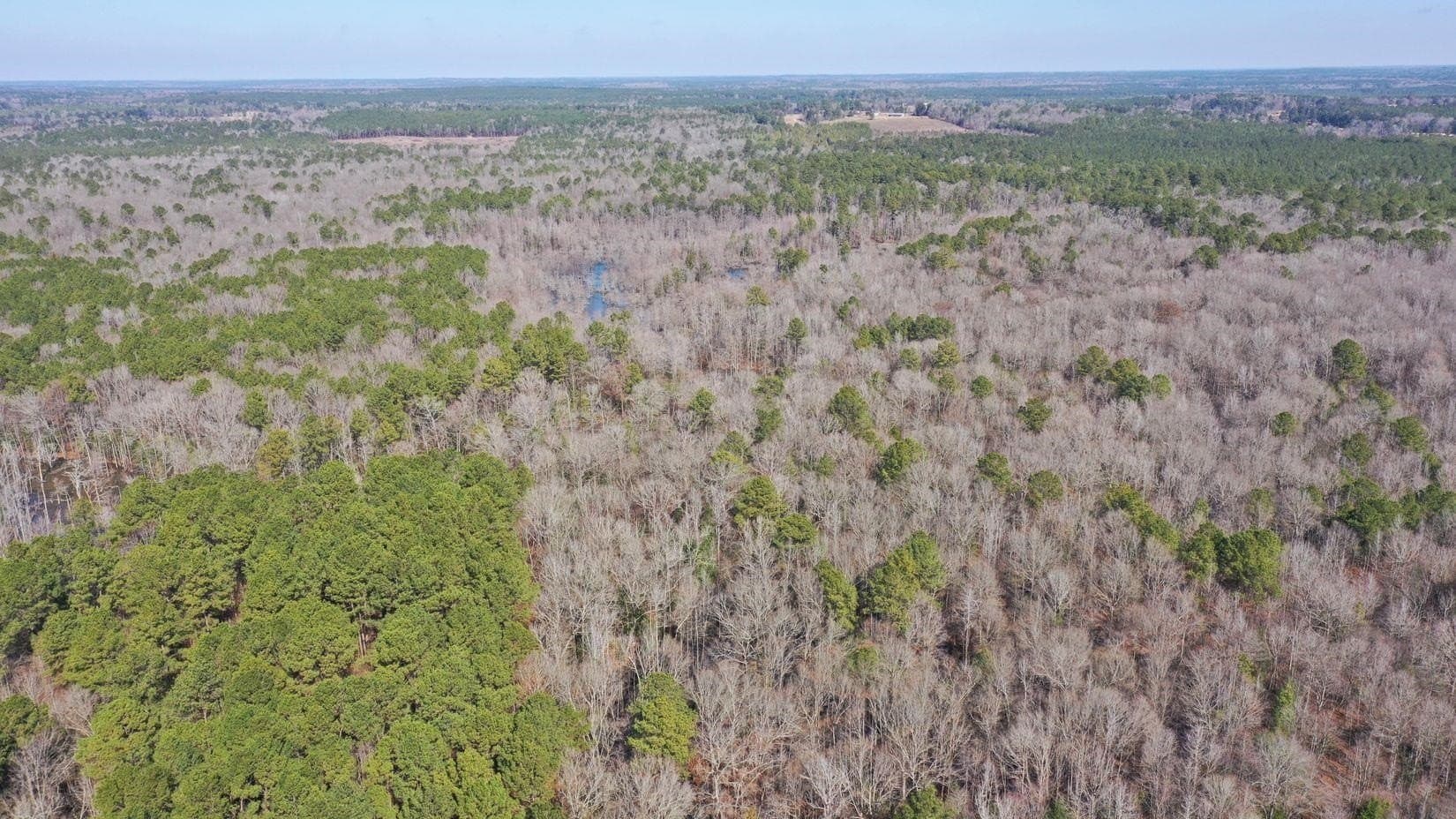 436.08 acres in Cass County - photo 45