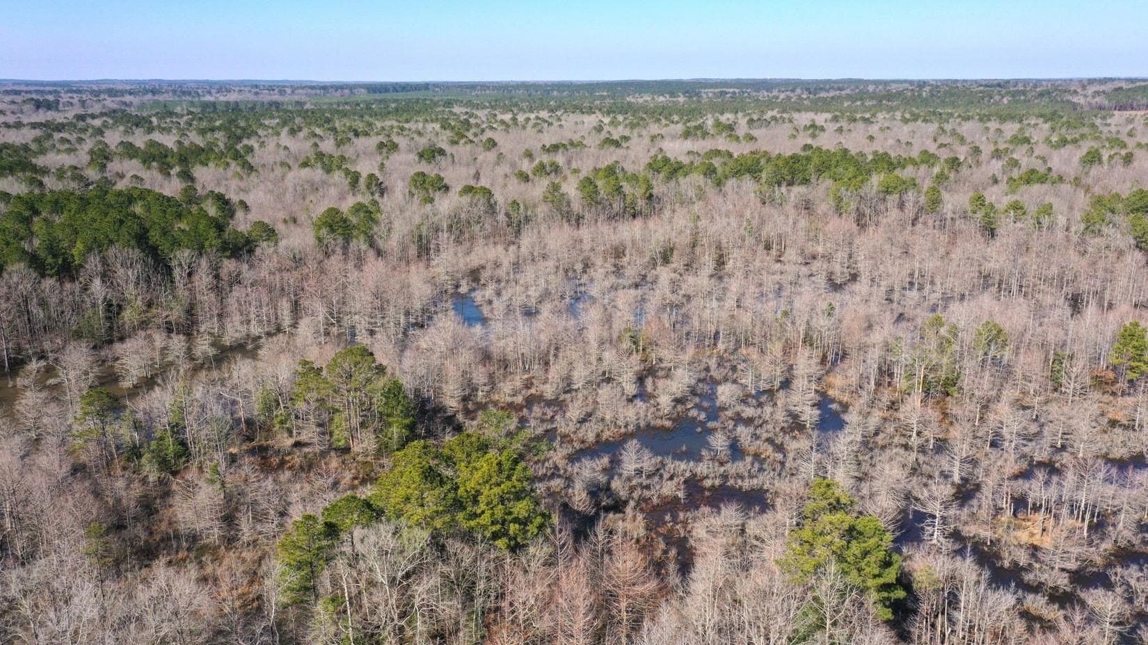 436.08 acres in Cass County gallery image 2