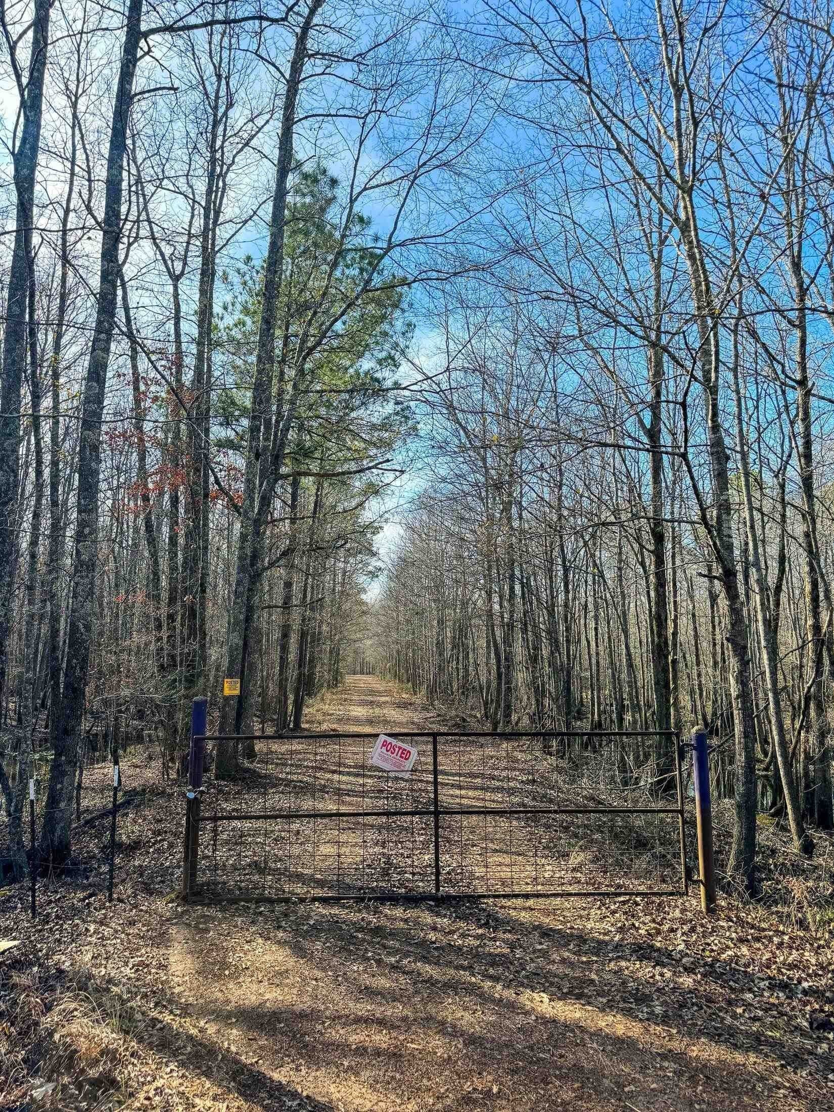 436.08 acres in Cass County - photo 29