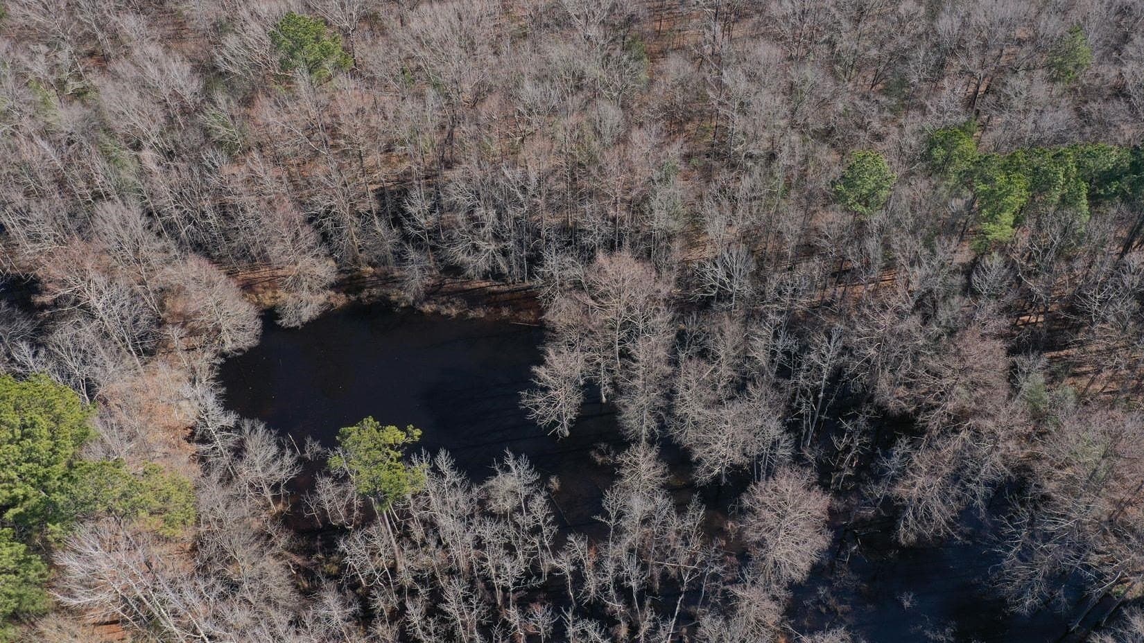 436.08 acres in Cass County - photo 10