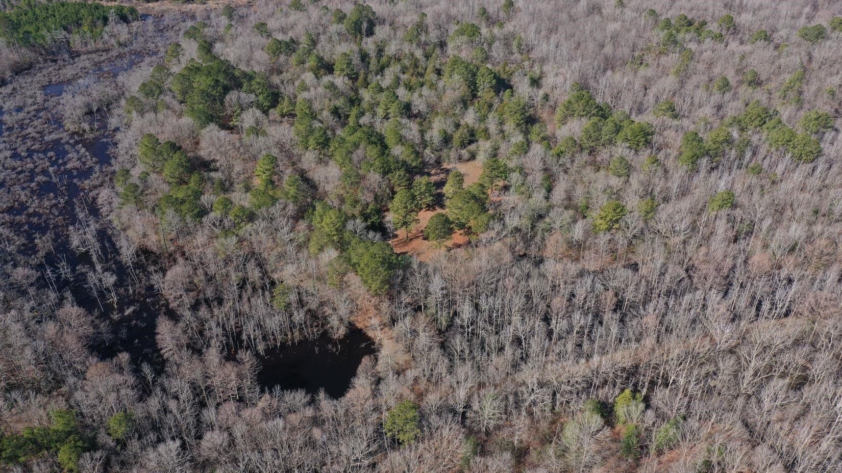 436.08 acres in Cass County - photo 11