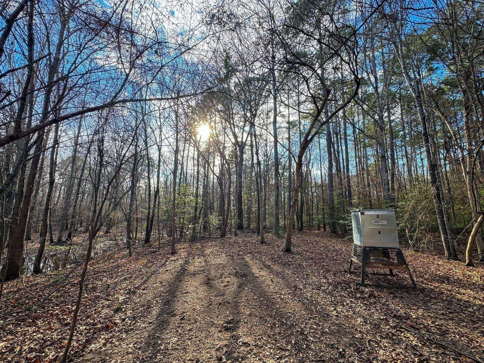 436.08 acres in Cass County - photo 36