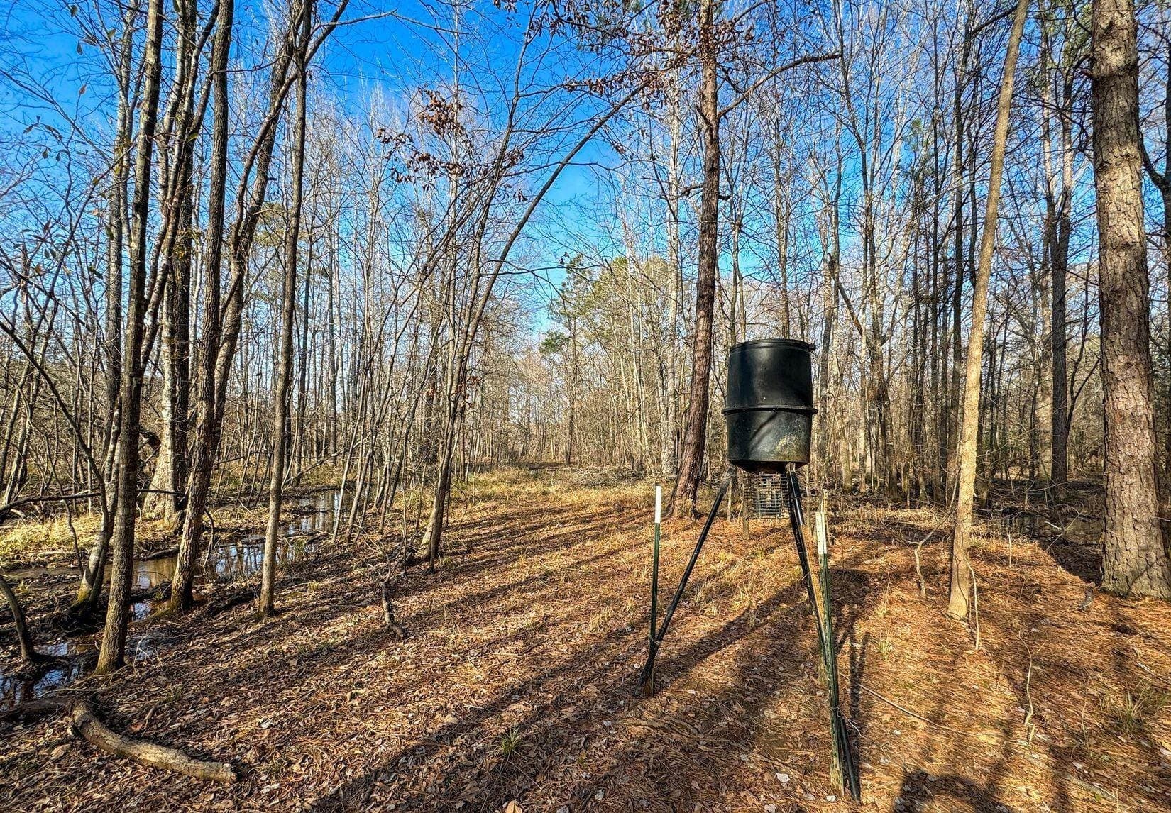 436.08 acres in Cass County - photo 19