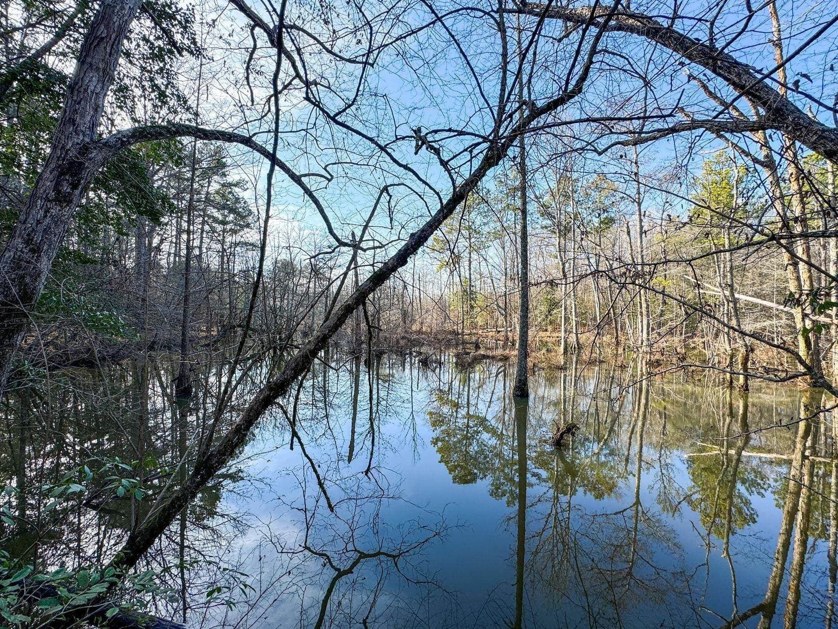 436.08 acres in Cass County - photo 26